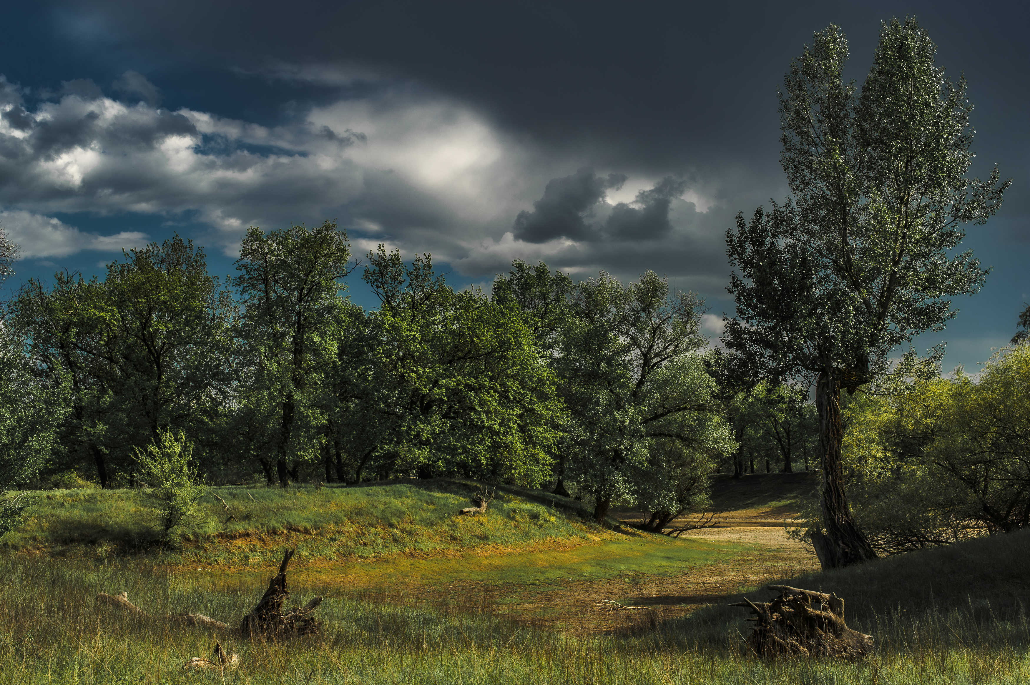 пейзаж,природа,весна, Vasilev Roman