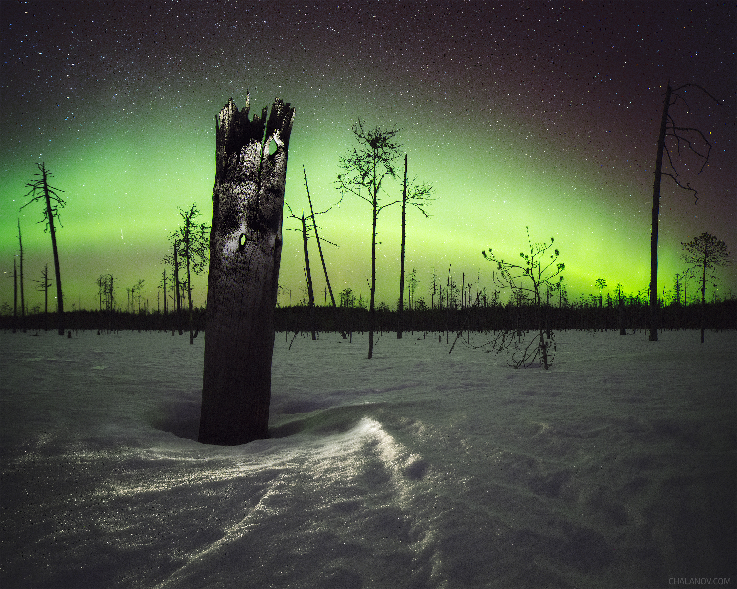 пейзаж, северное сияние, аврора, весна, снег, болото, деревья, звезды, Иван Чаланов