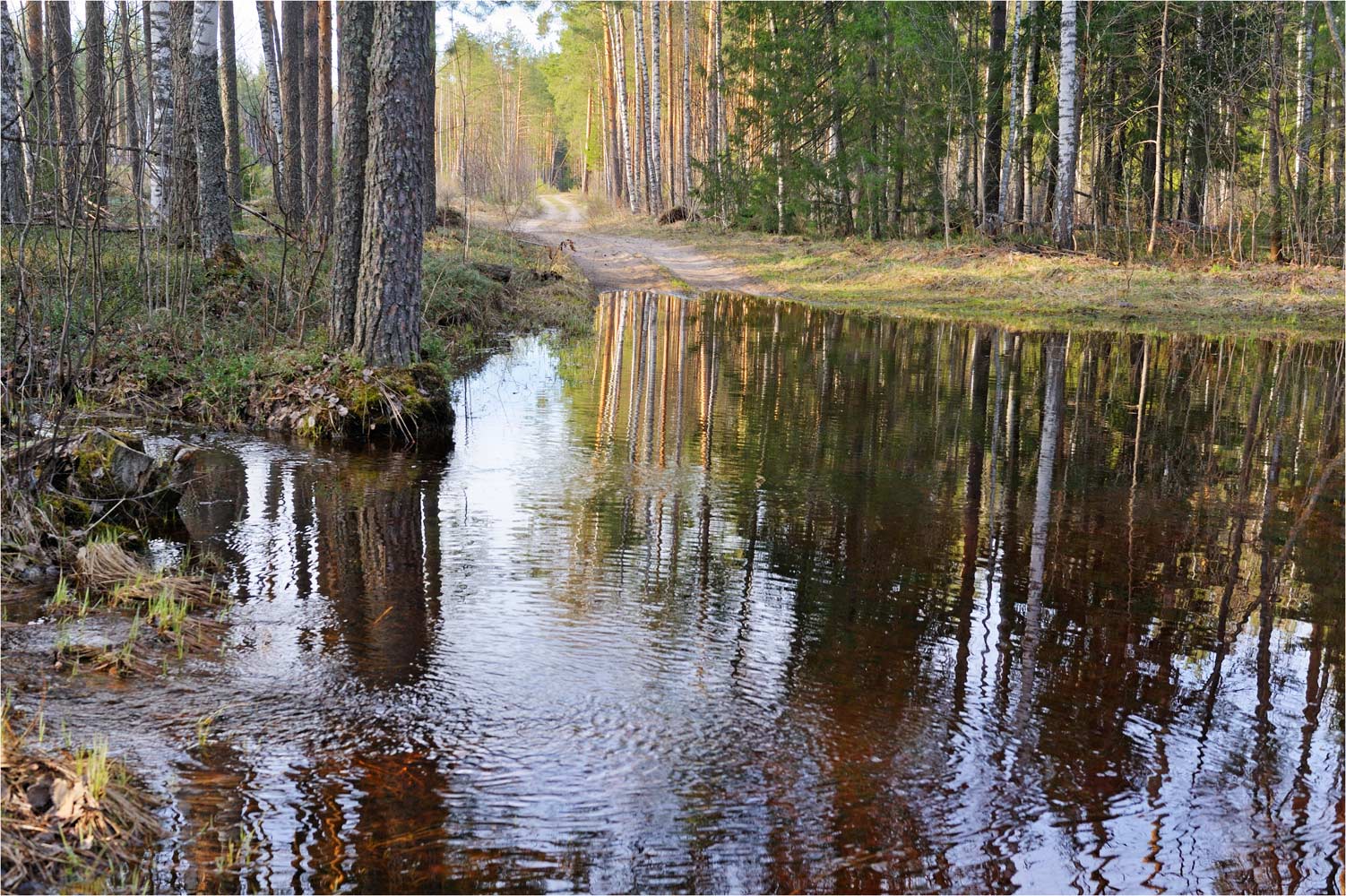 , Анатолий Гулин