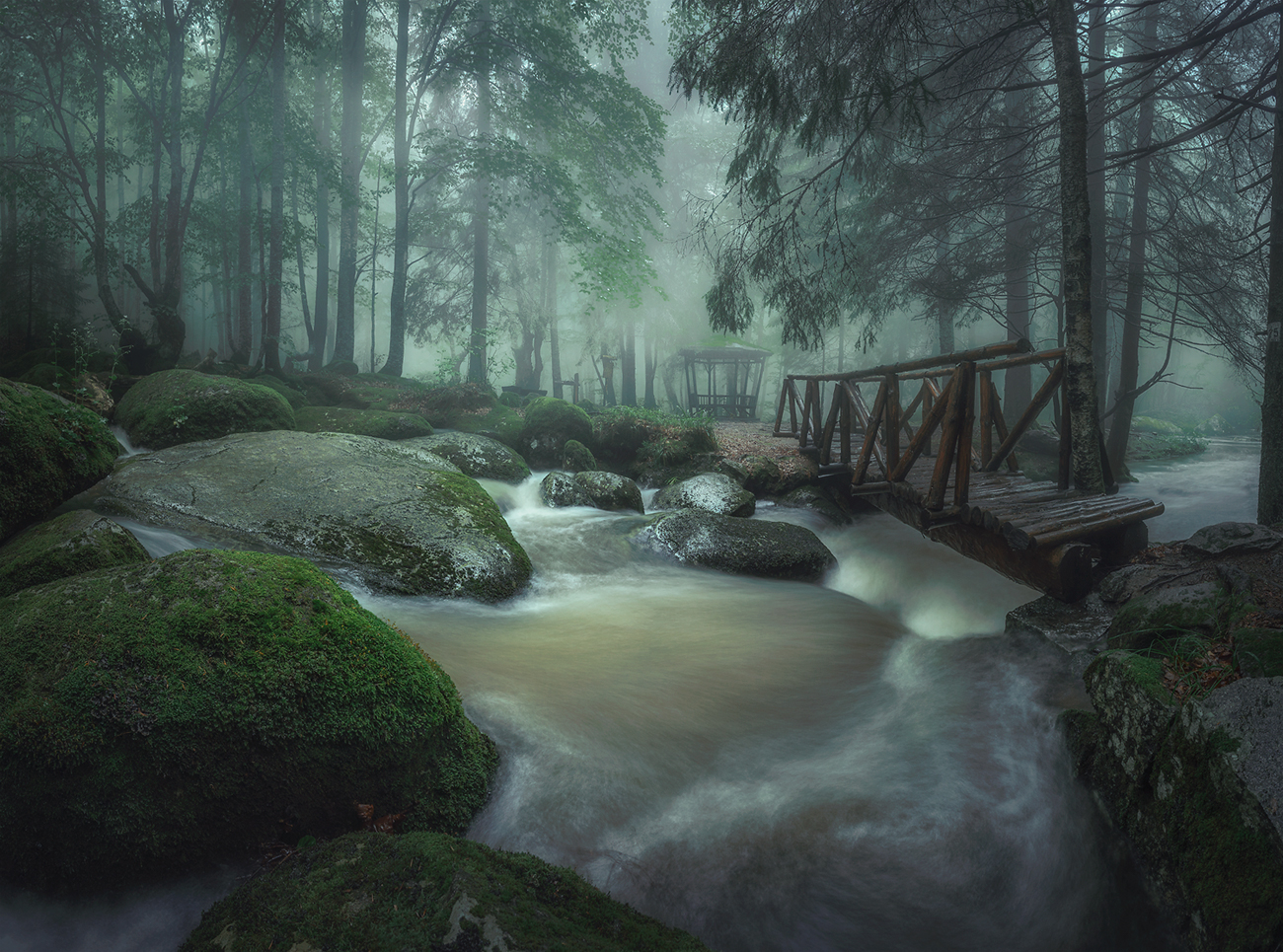 landscape, nature, scenery, forest, wood, mist, misty, fog, foggy, river, longexposure, mountain, rocks, vitosha, bulgaria, туман, лес, Александър Александров