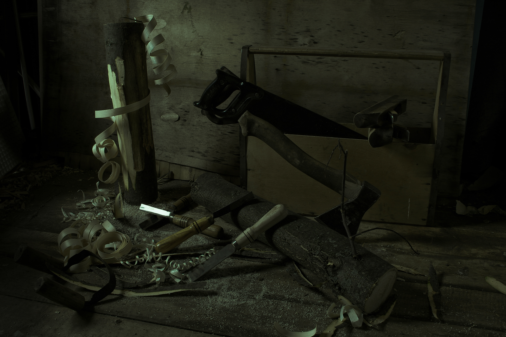 , Анкудинов Леонид