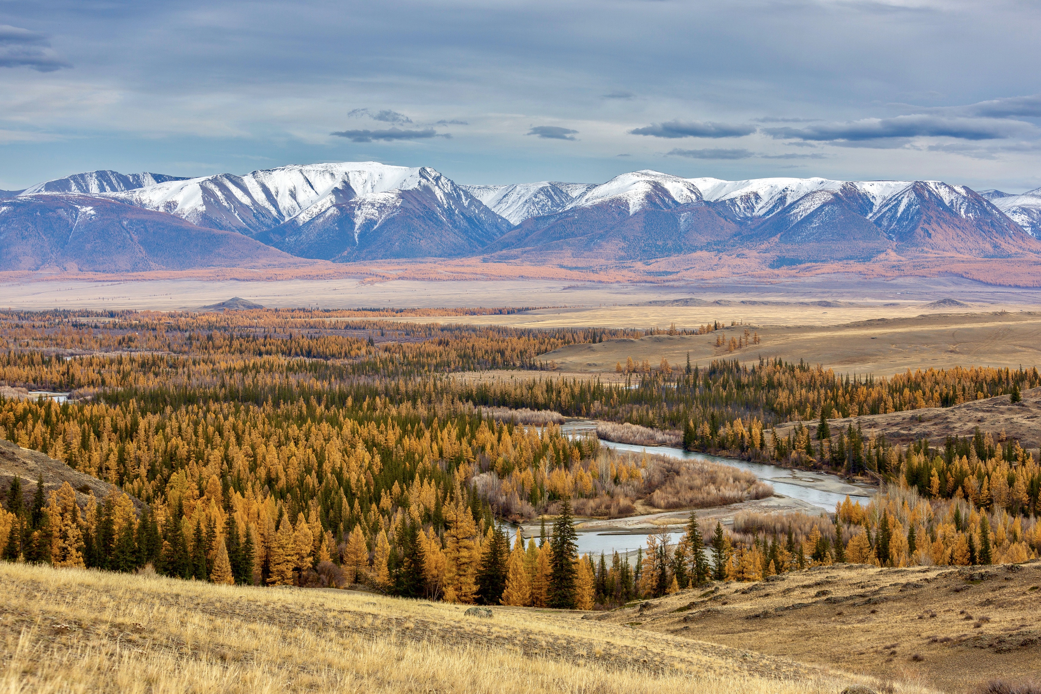 алтай, курай, осень, Кузнецов Андрей