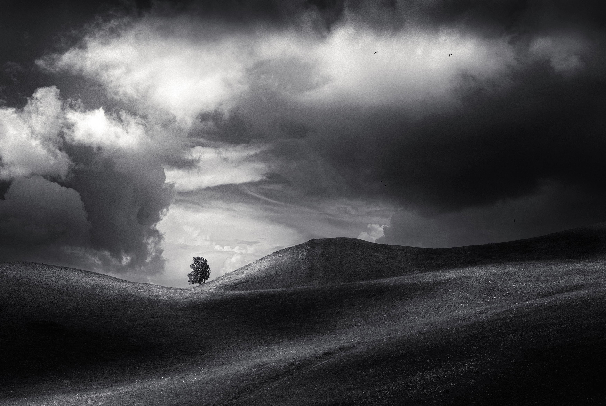 , Татьяна Бирюкова