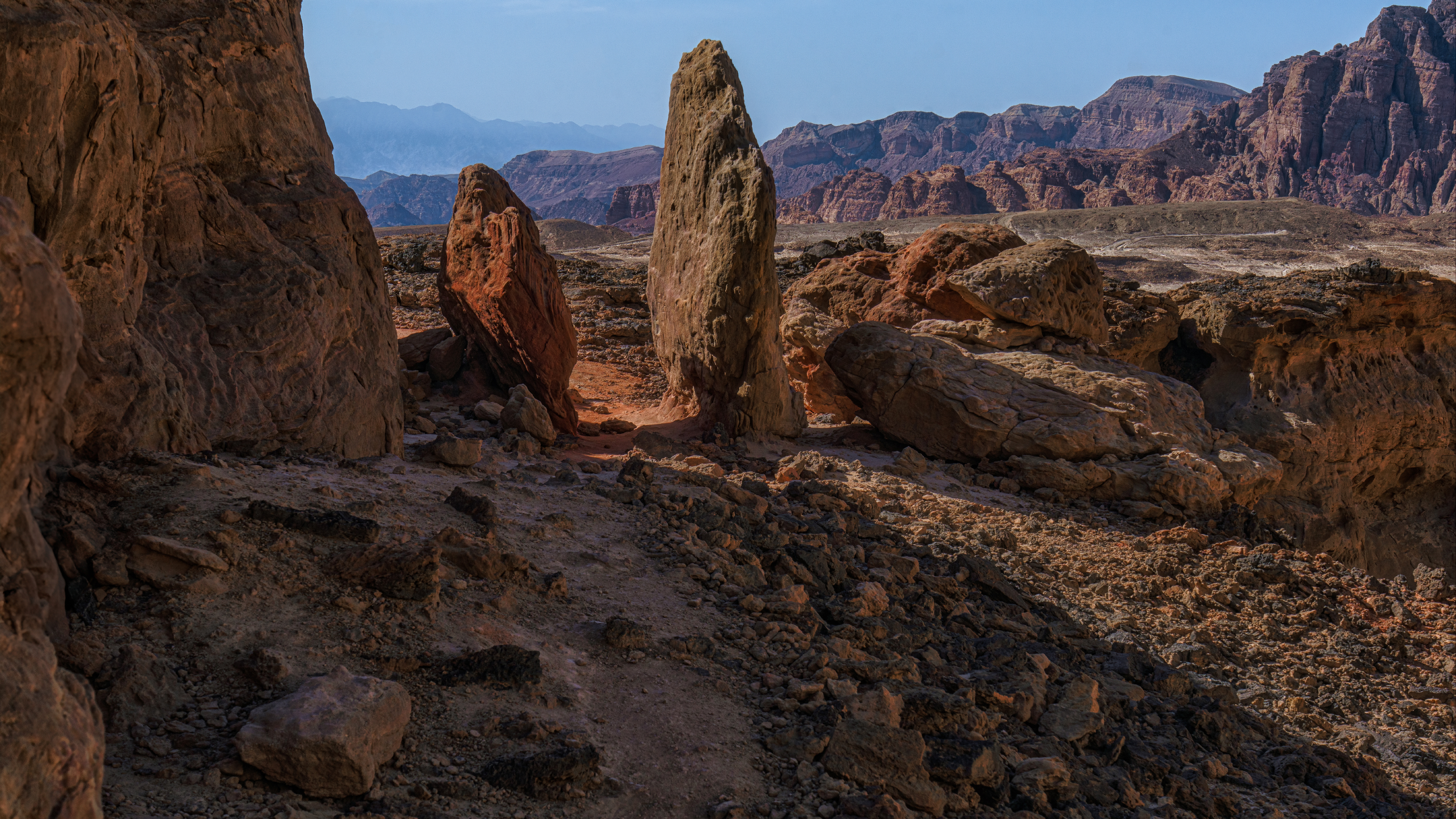 , Шварцман Евгений