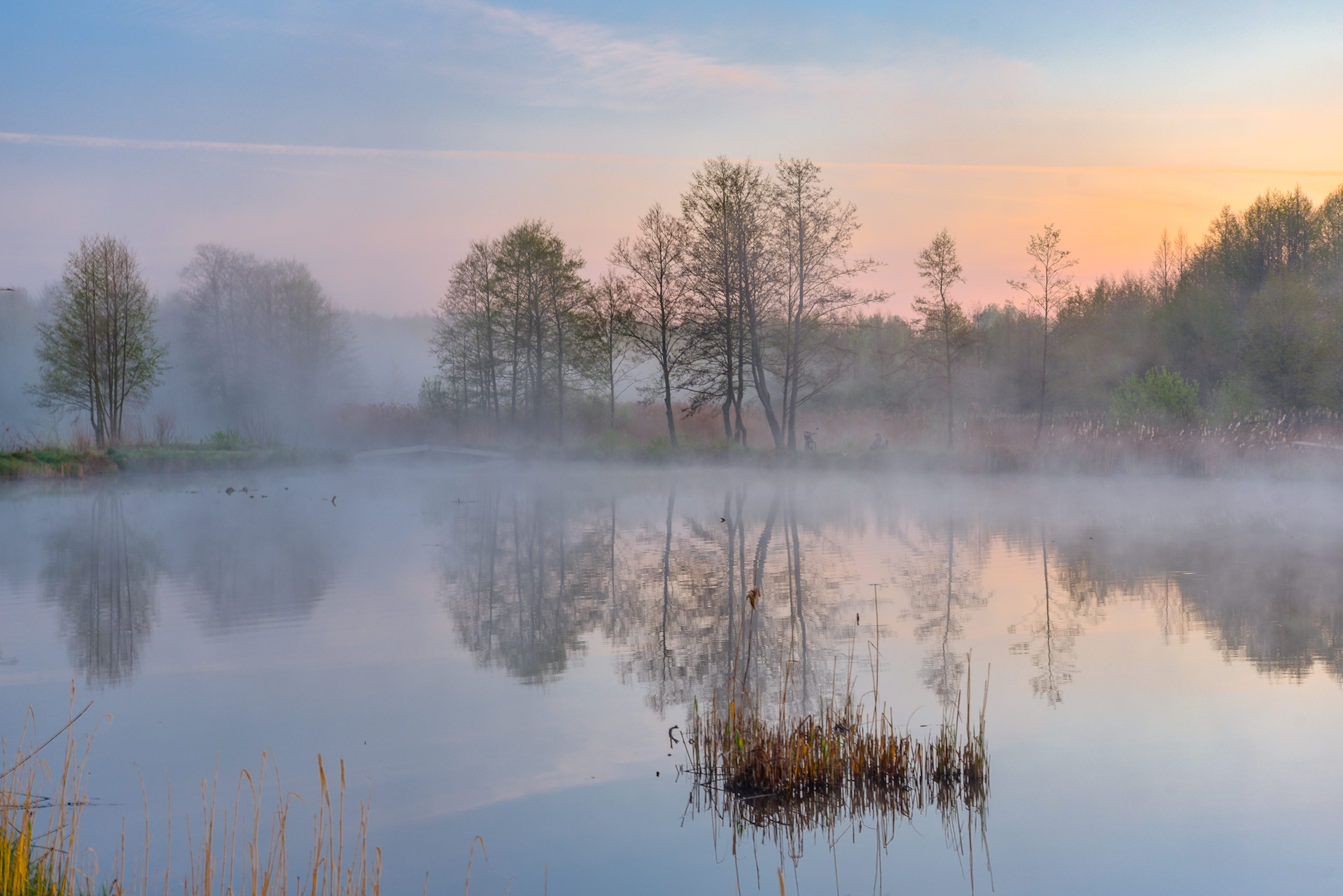, Руслан Авдевич