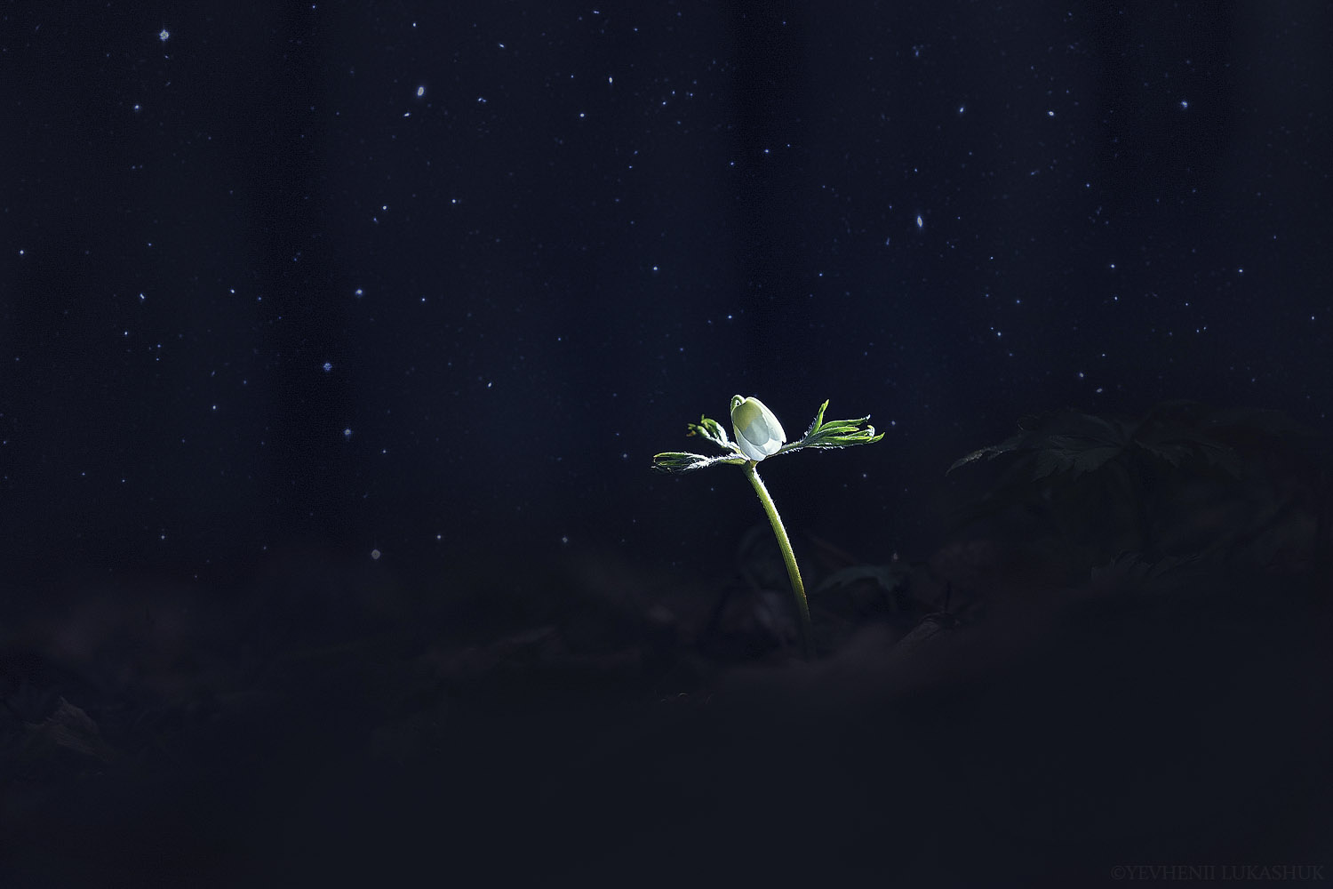 , Лукашук Евгений