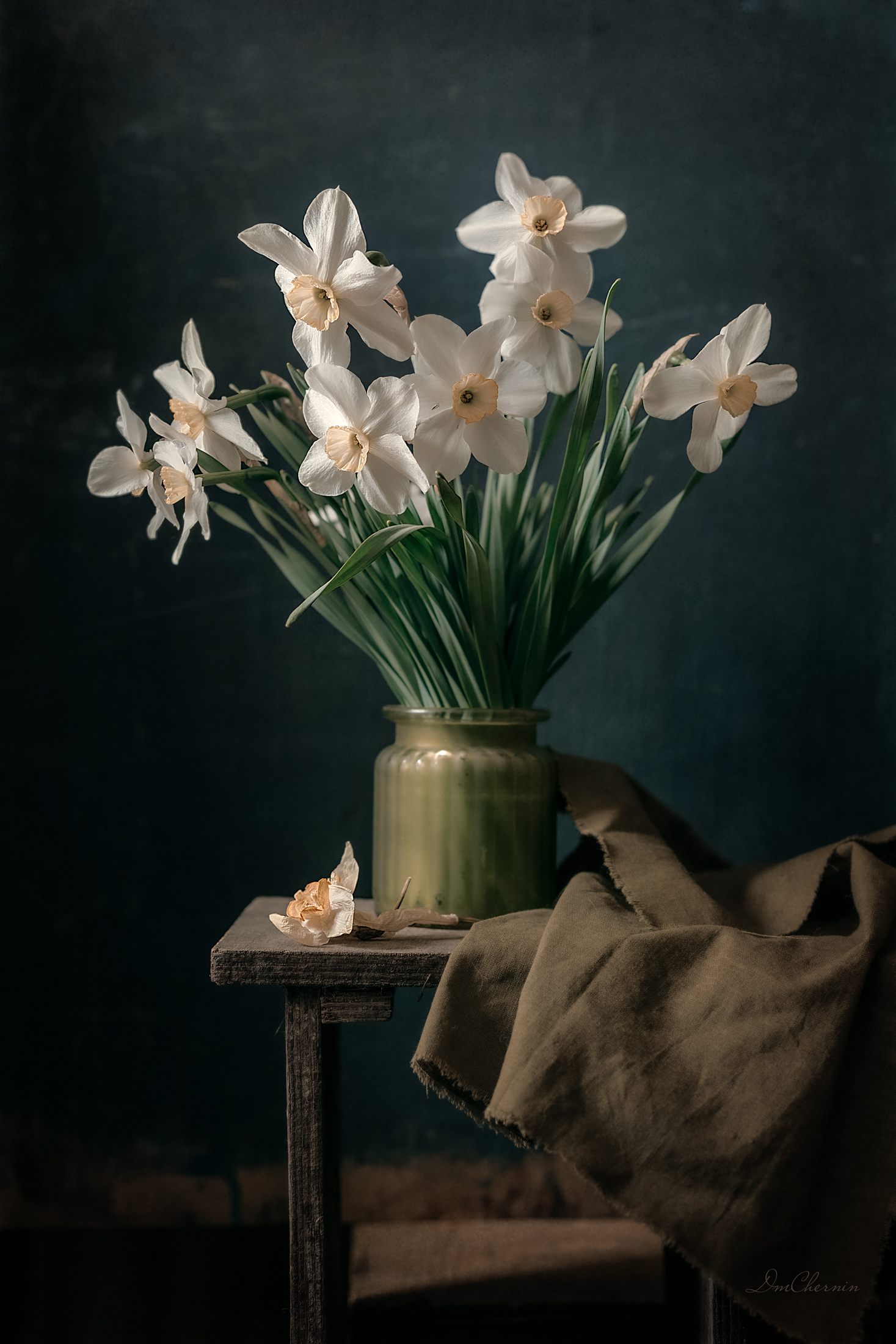 , Чернин Дмитрий