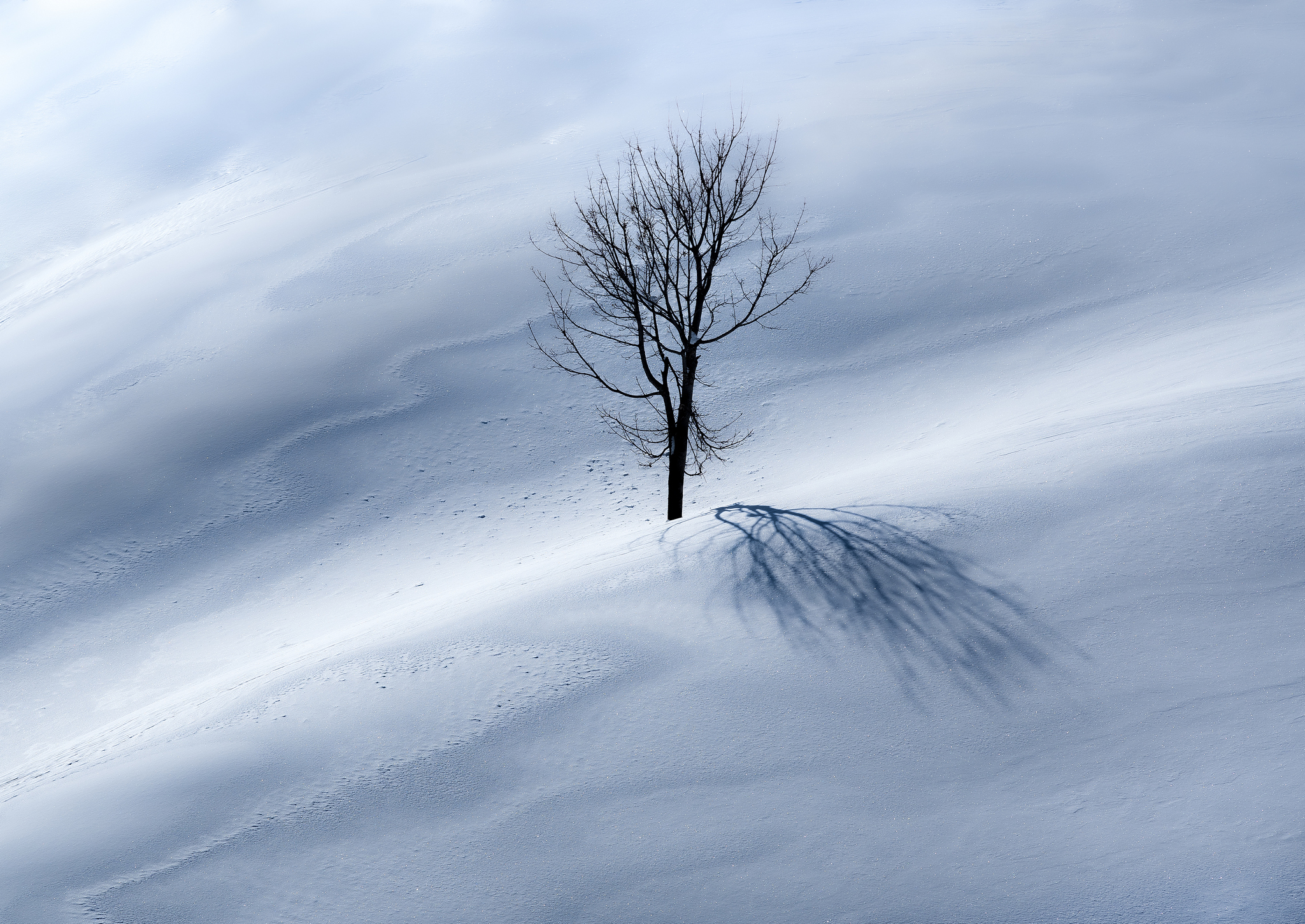 , Валерий Одинцов