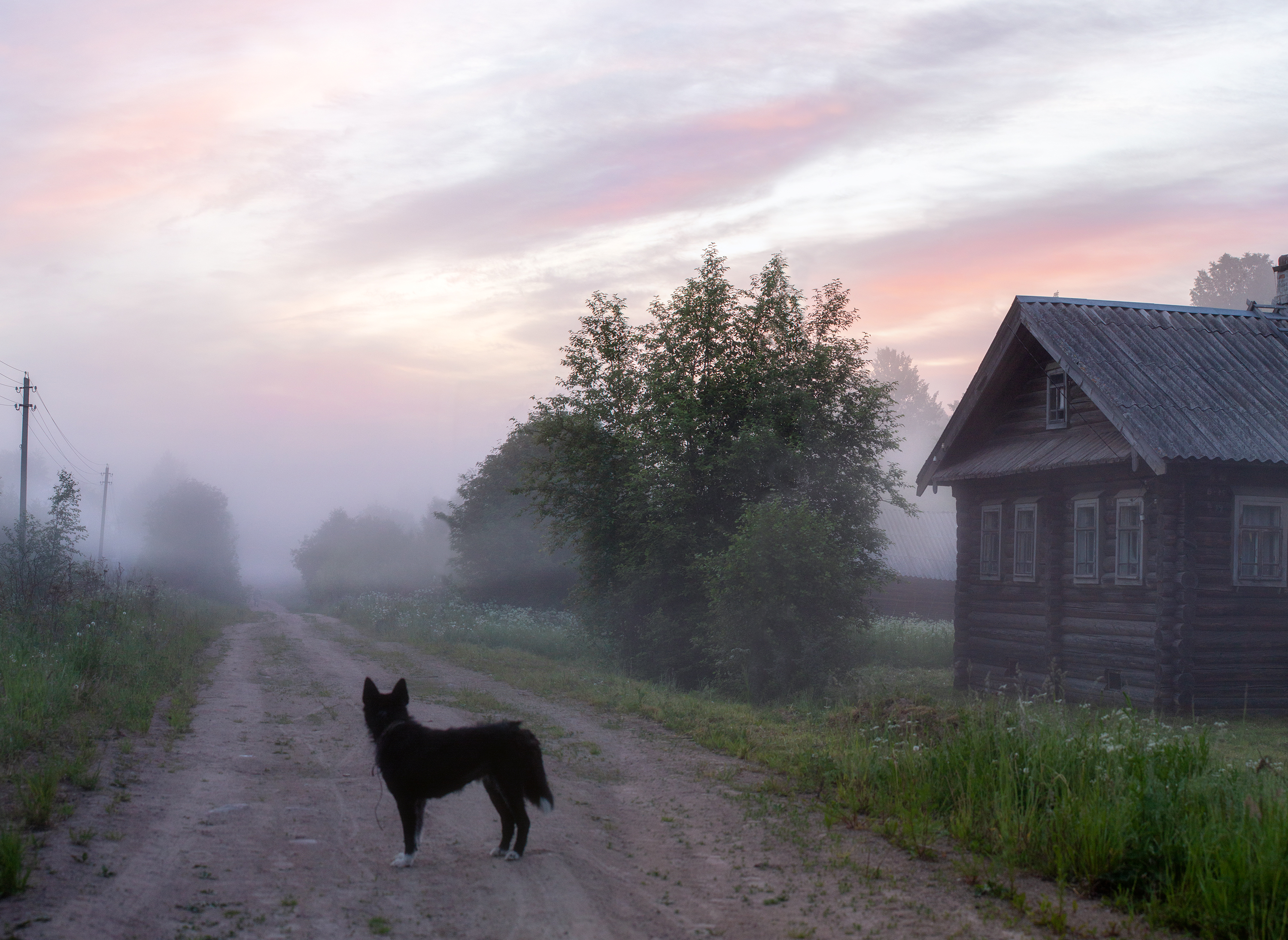 деревня, север, утро, туман, рассвет, вологодская область, Павел Ващенков