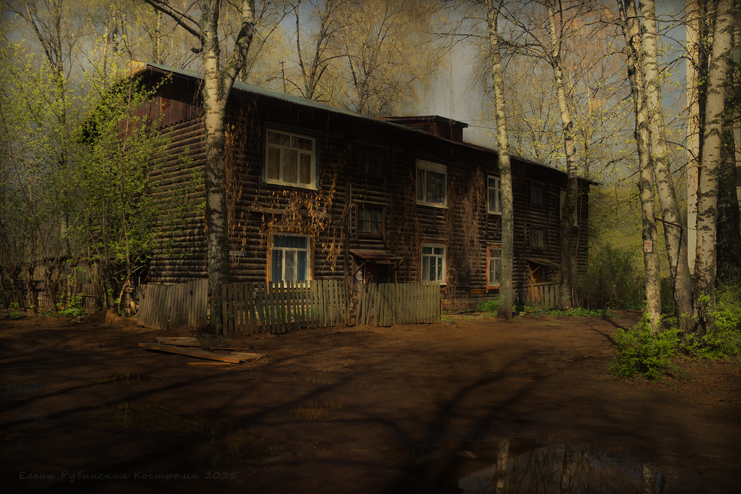 , Елена Рубинская