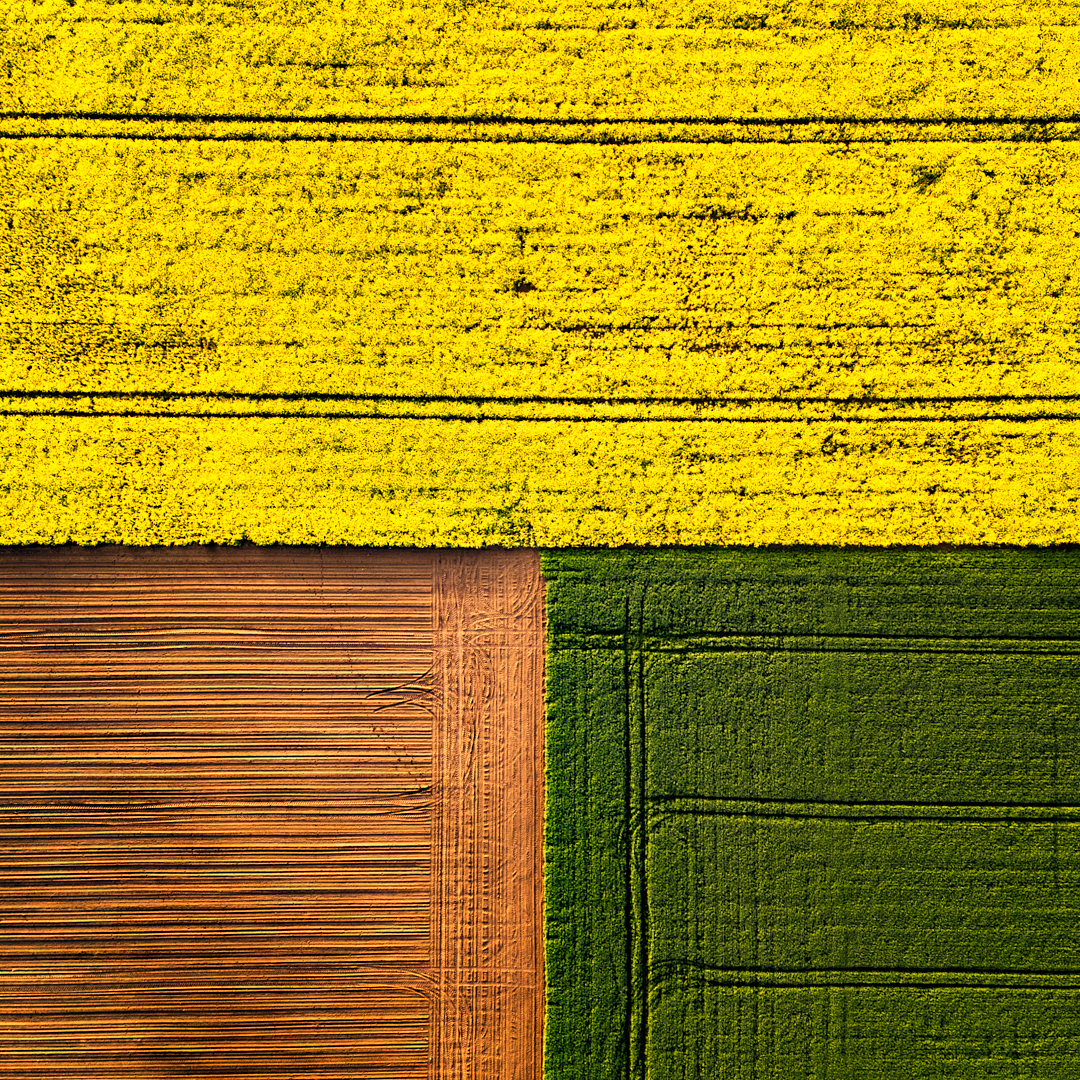 fields, drone, colors, , Wojciech Grzanka