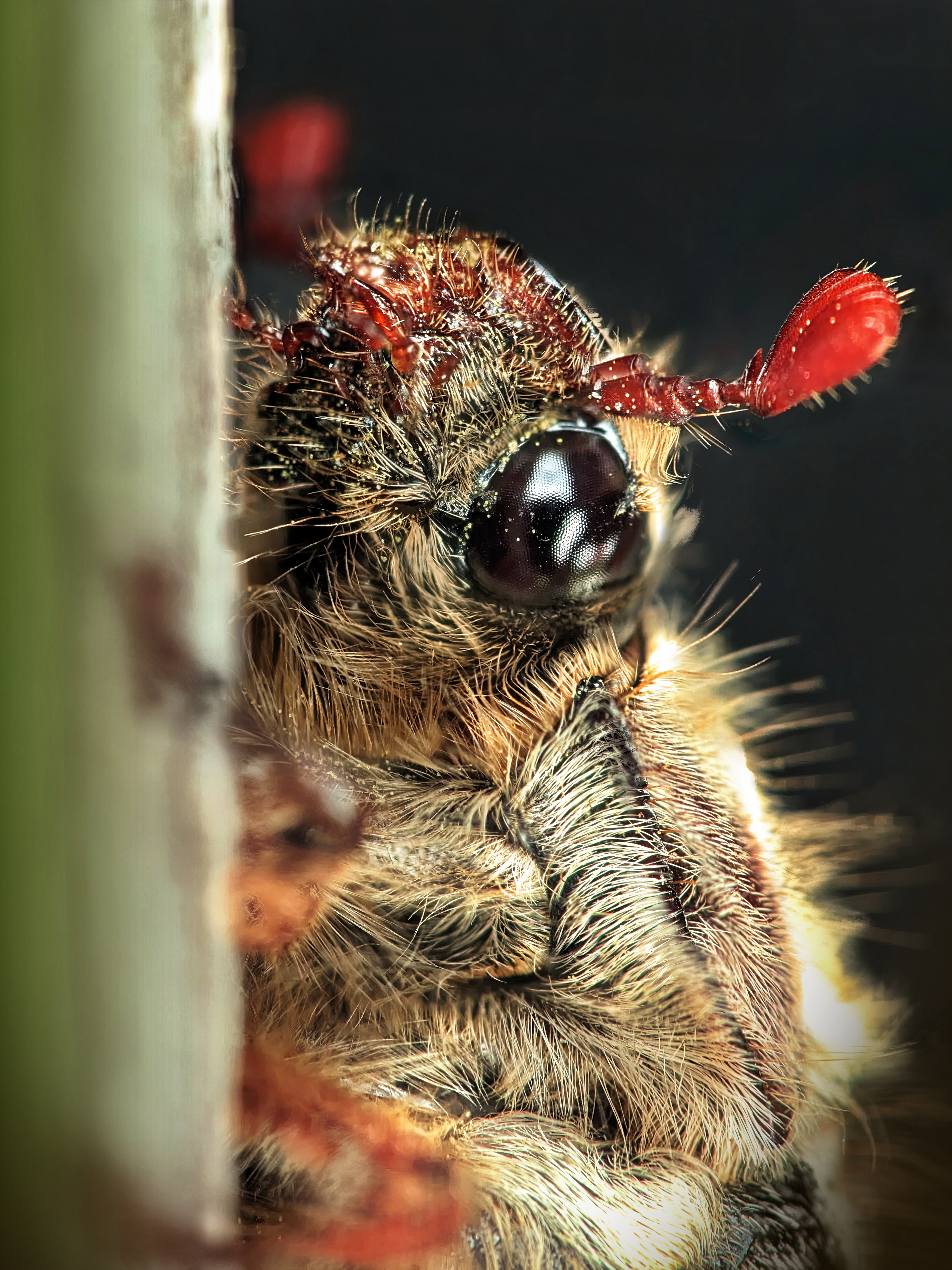 , Кузнецов Дмитрий