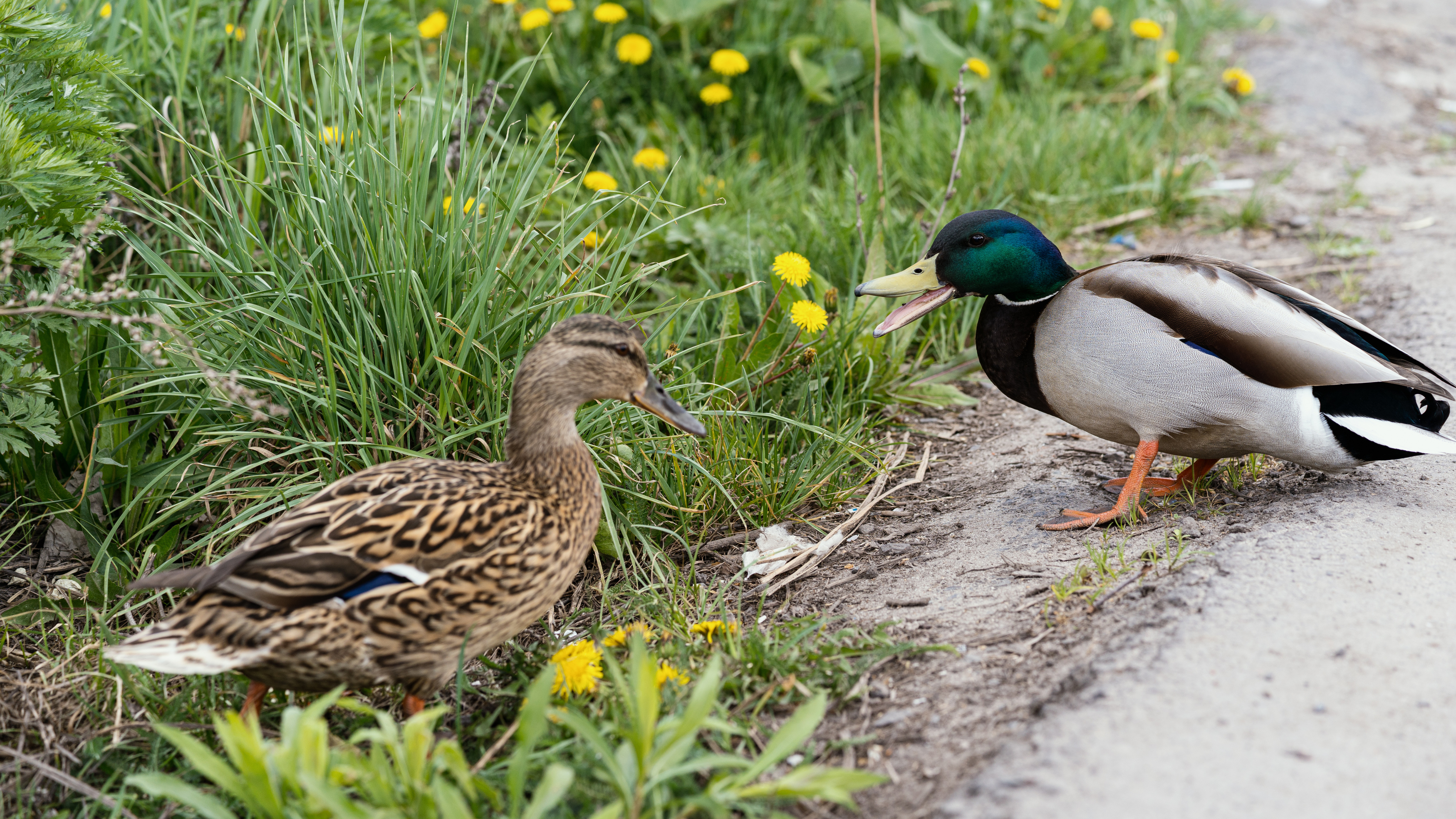 , Вертиков Юрий