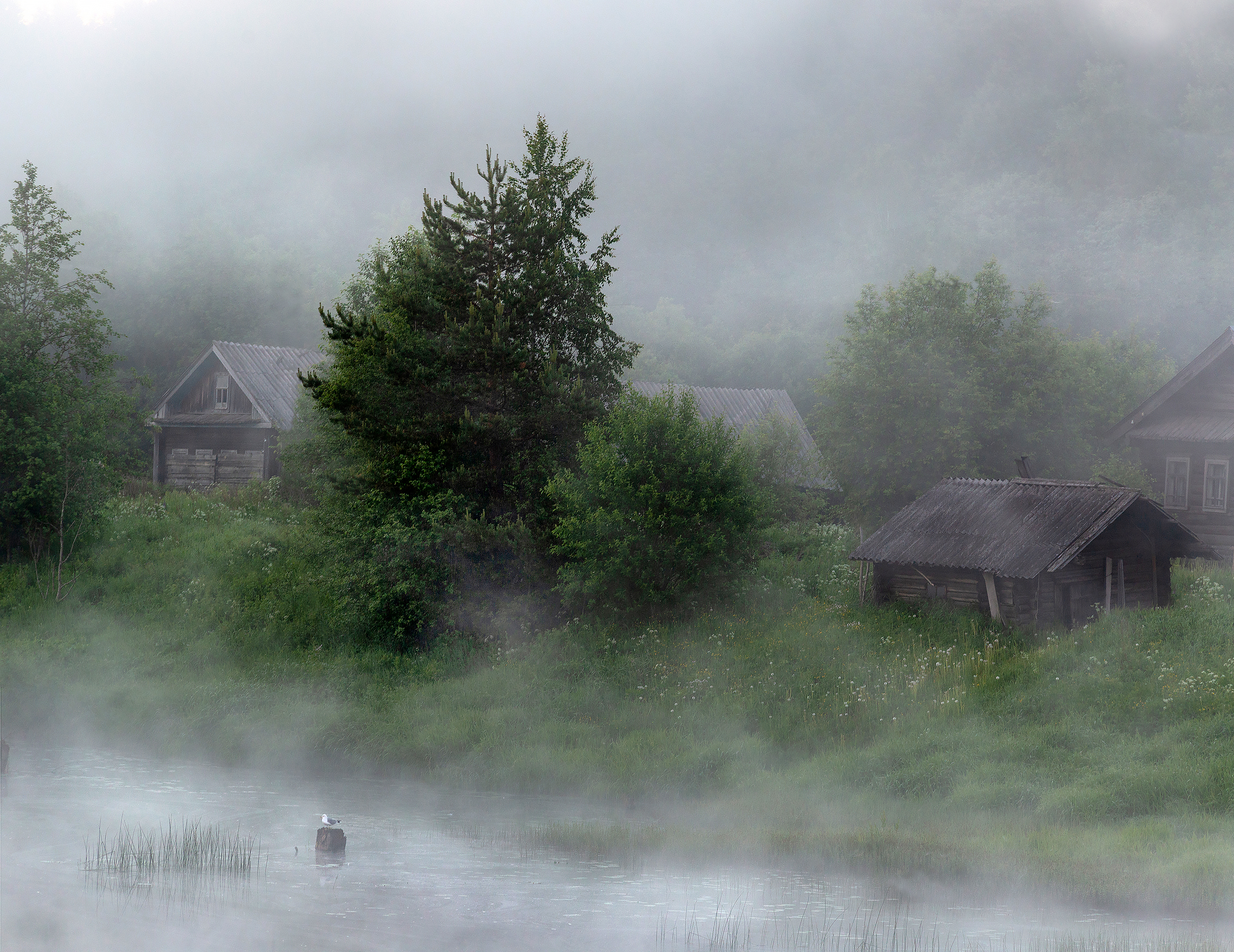 деревня,  русский север, рассвет, саминский погост, природа, утро,  река,  туман, Павел Ващенков