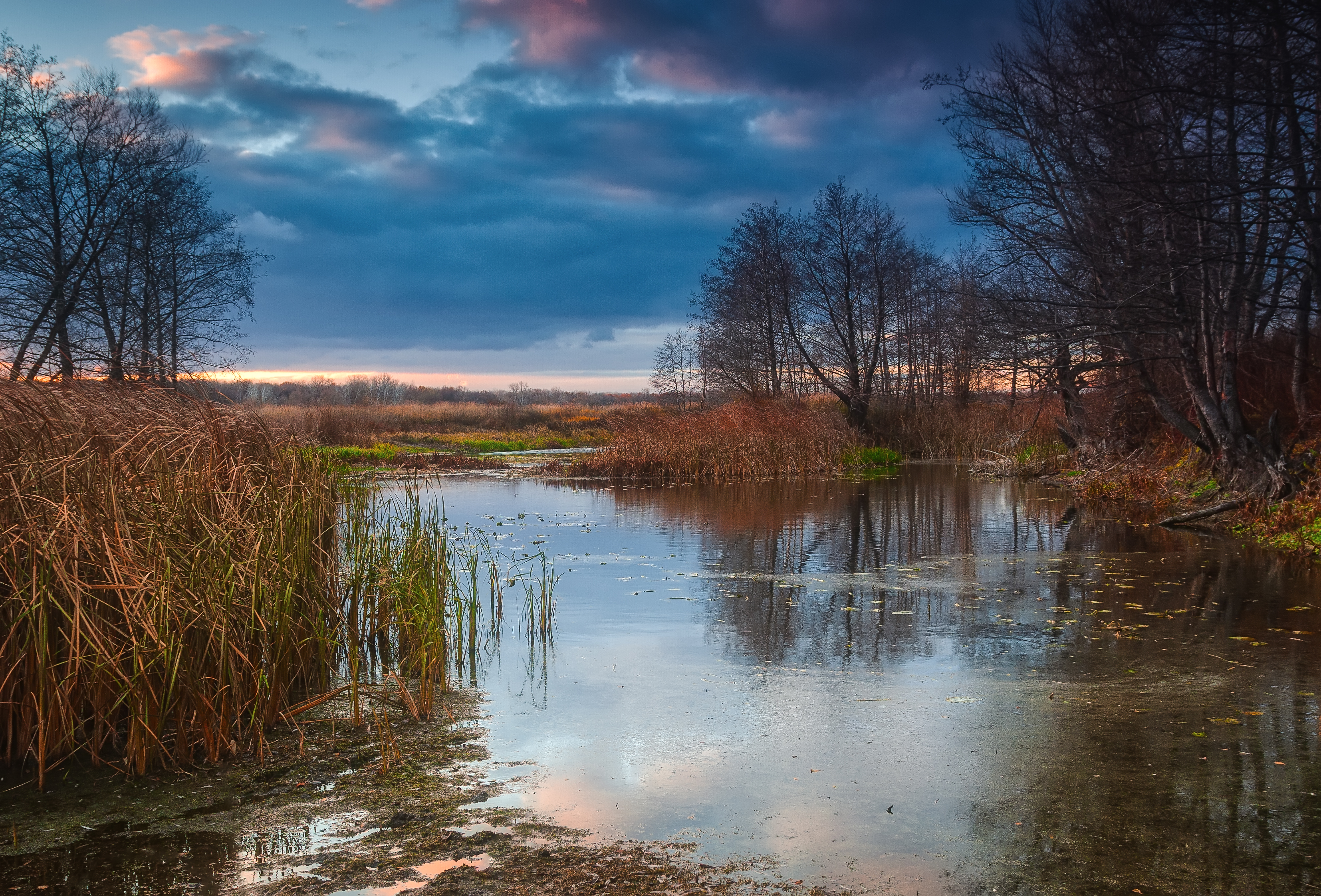 , Сергей Подгоров
