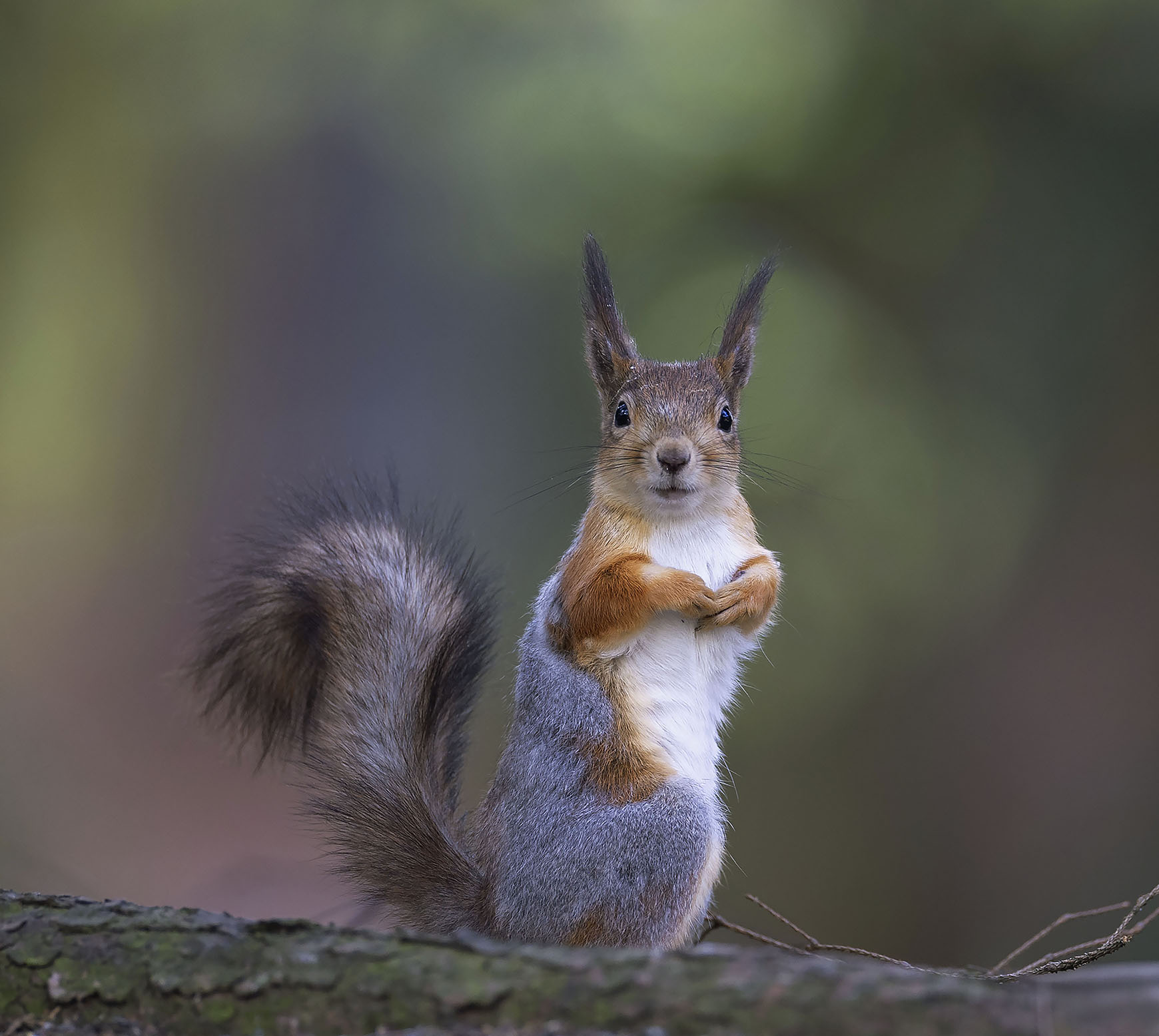 , Стукалова Юлия