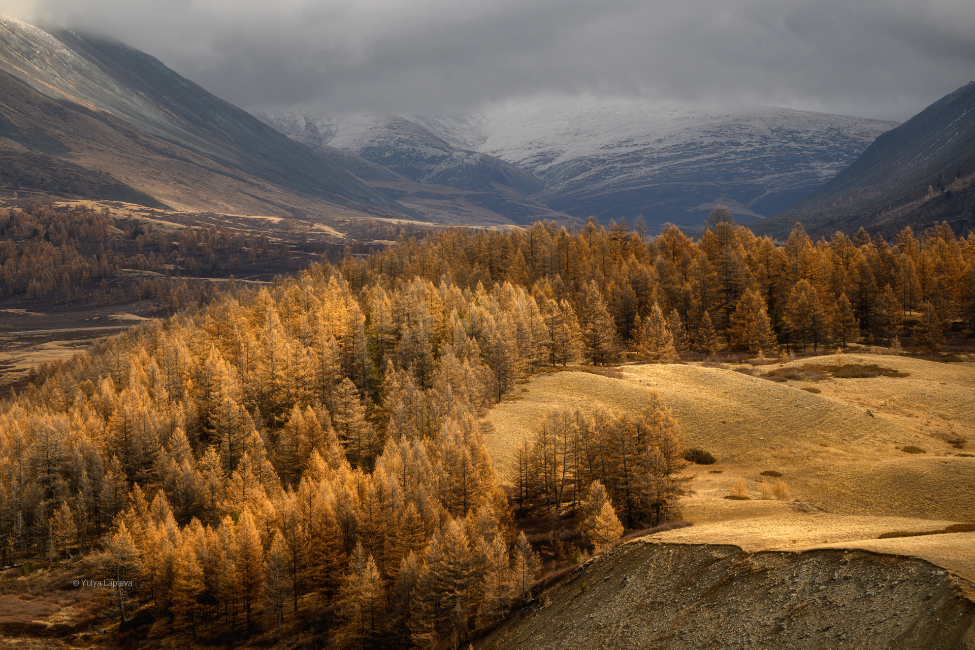 горный, алтай, Юлия Шустерова