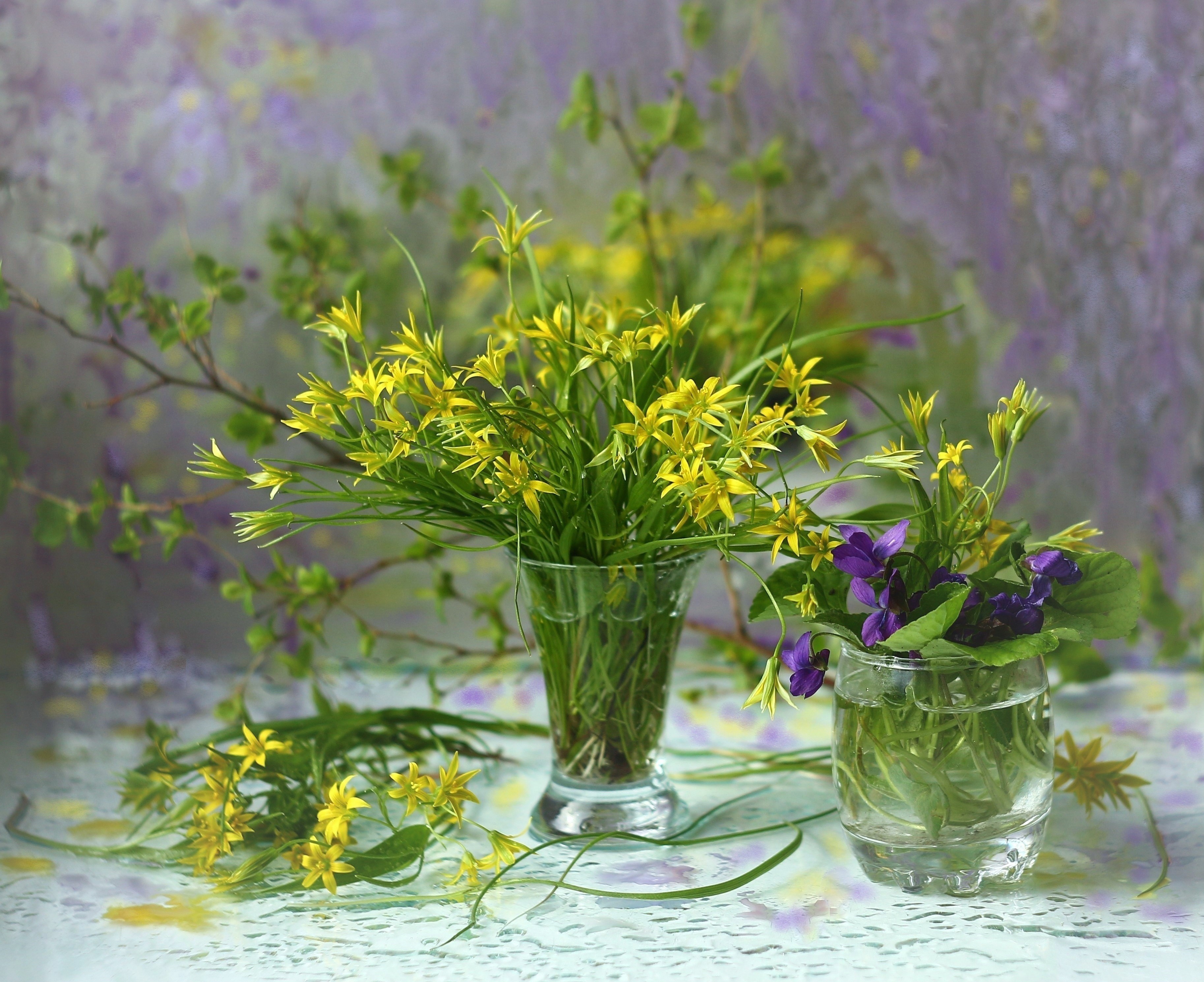 , Людмила Хрусталева*