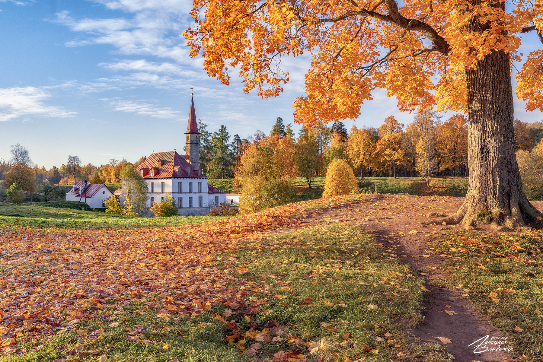 гатчина,  приоратский дворец, осень, Липецких Владимир