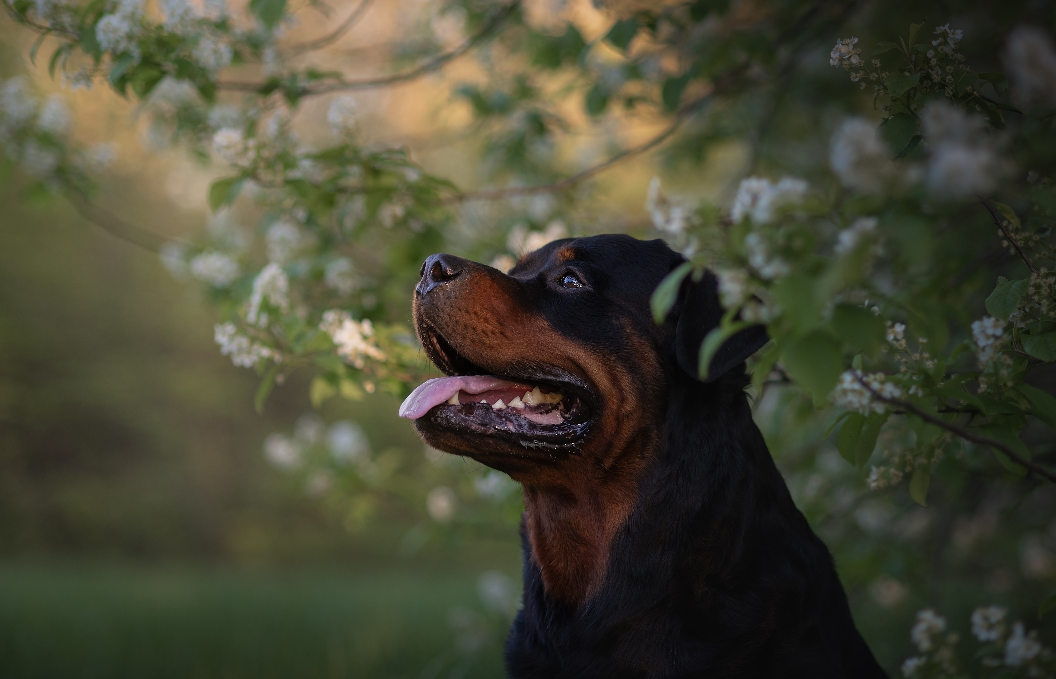 , Яна Кудлай