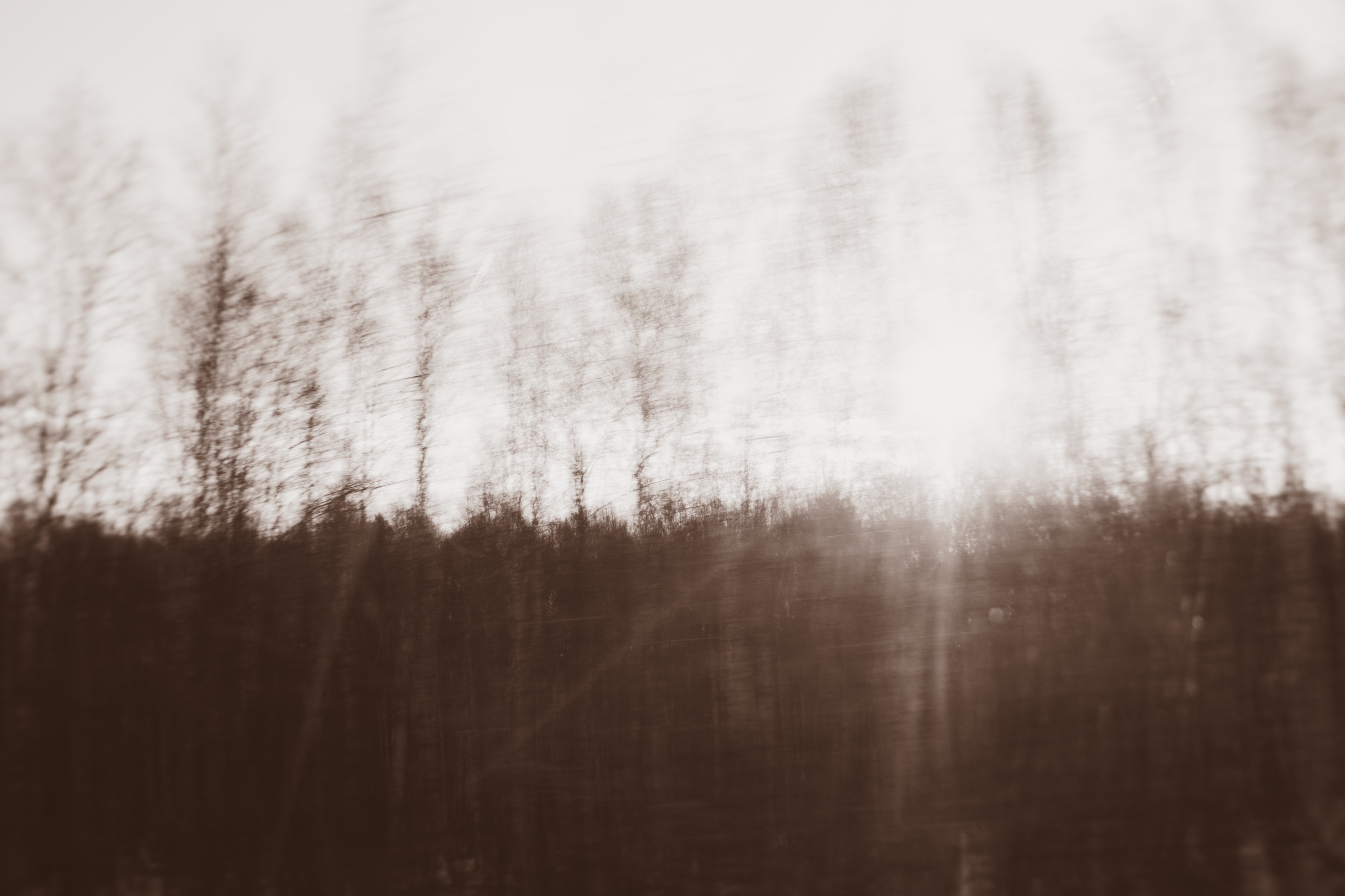 , Таня Смолевская