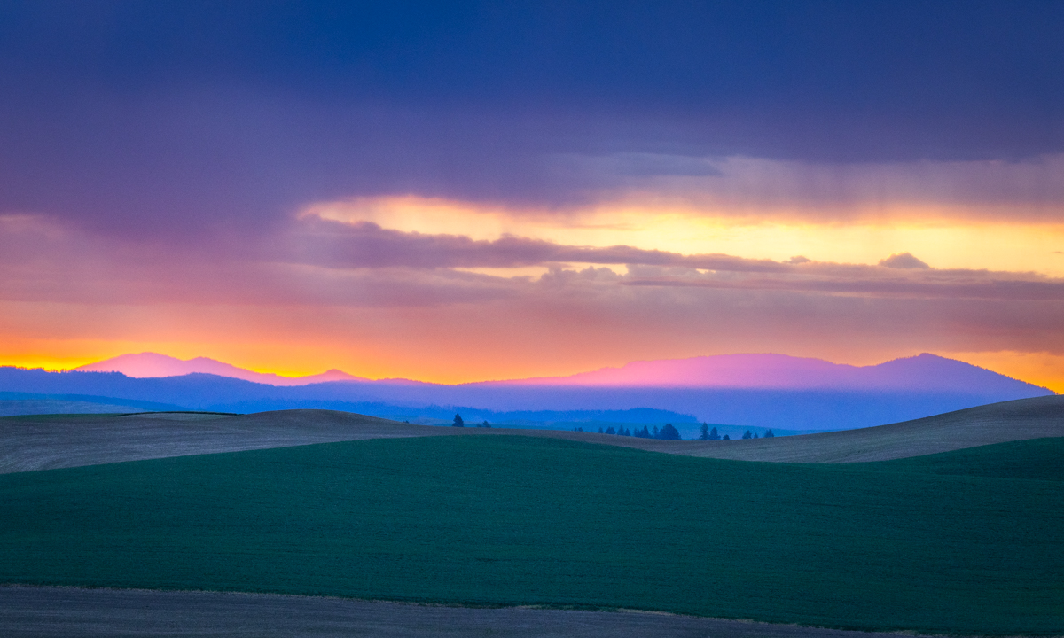 , Лозицкий Александр