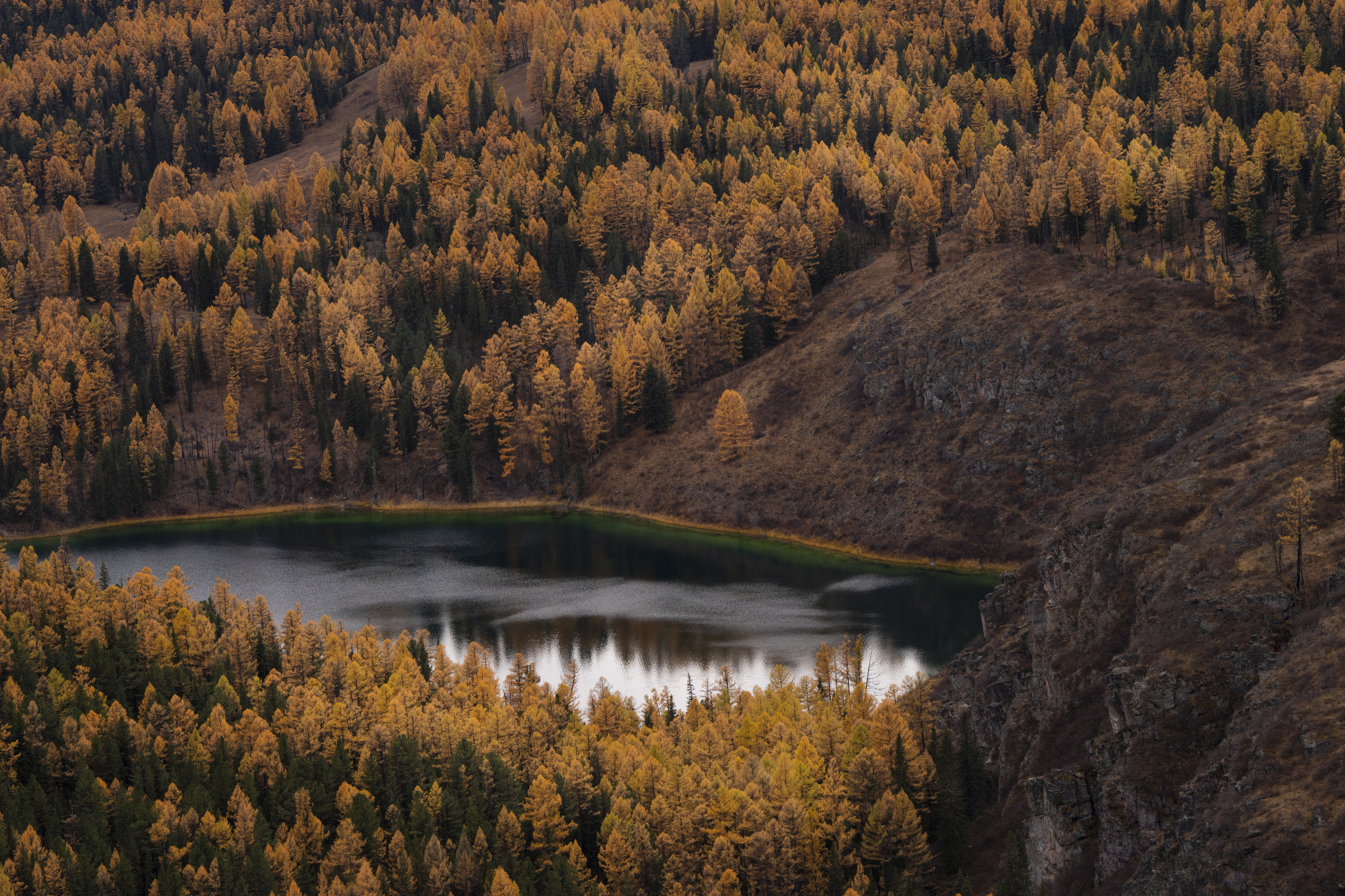 Алтай,озеро, горы, лес, Уч-Кёль, Дейнекина Галина