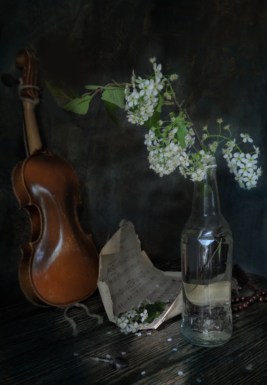 , Ирина Данилова