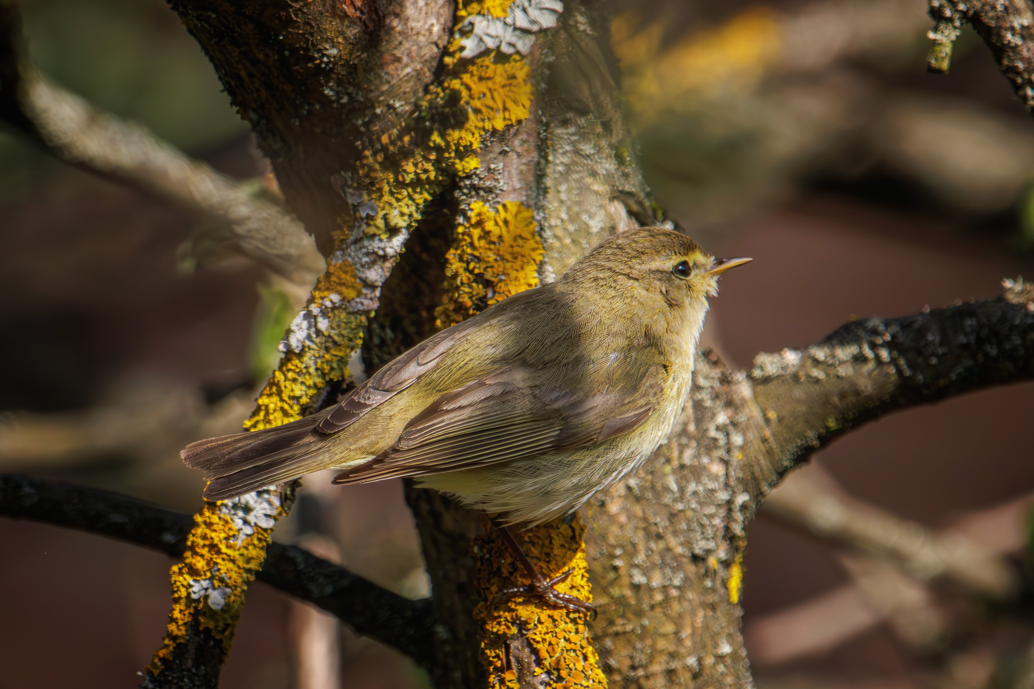 , Морозов Сергей