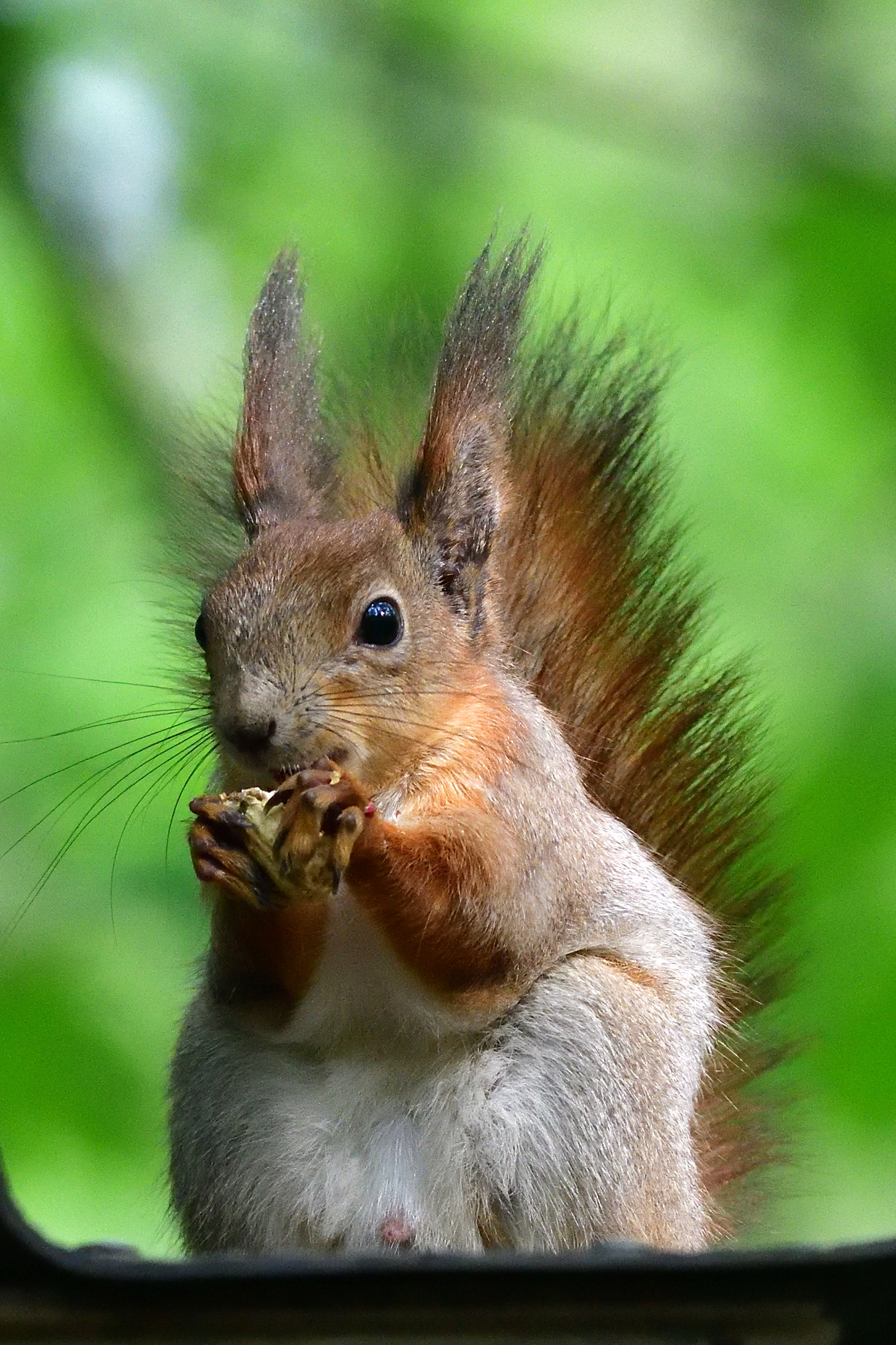 , Корнейчук Игорь