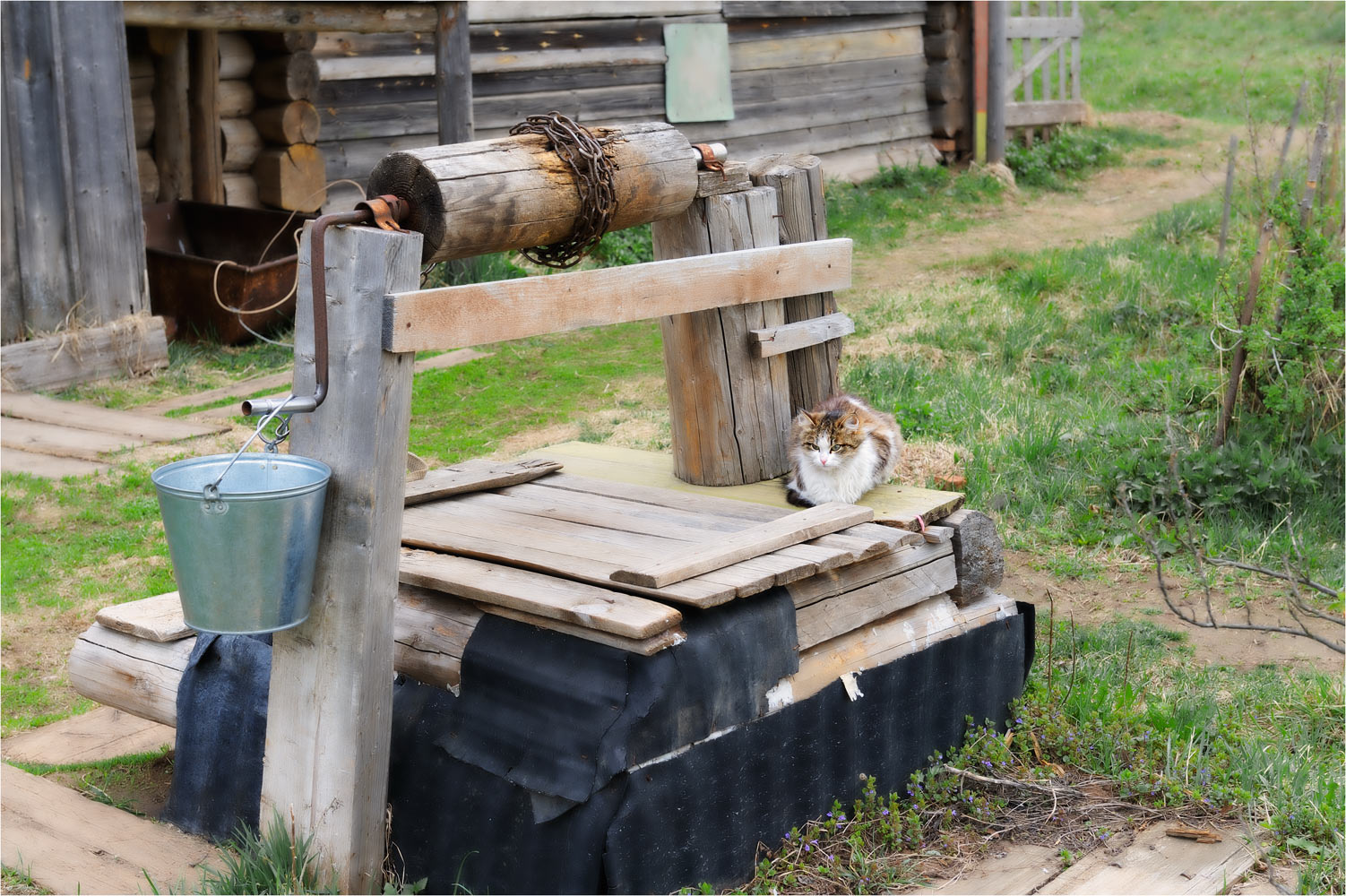 , Анатолий Гулин
