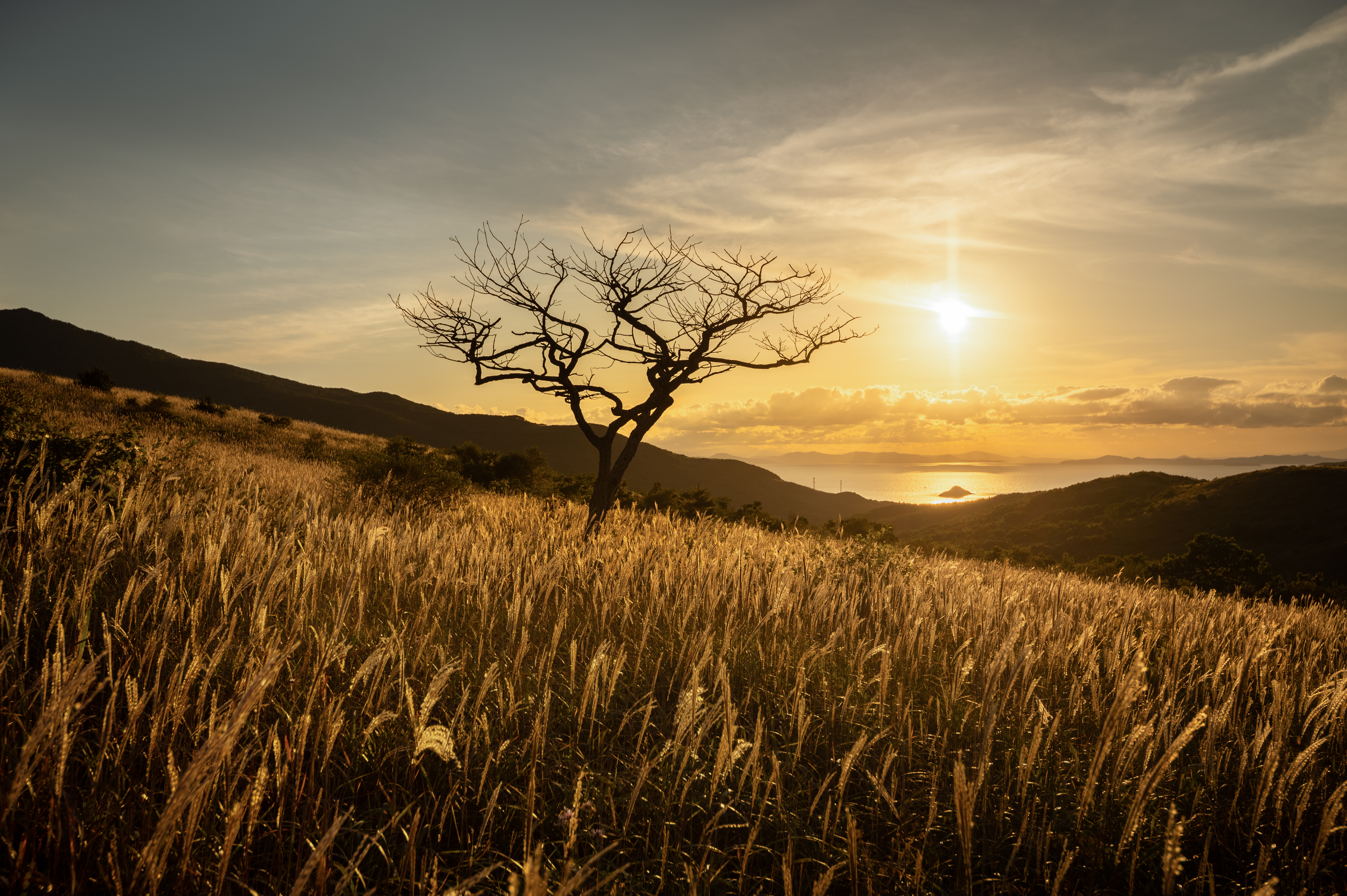 , Перевозчиков Андрей