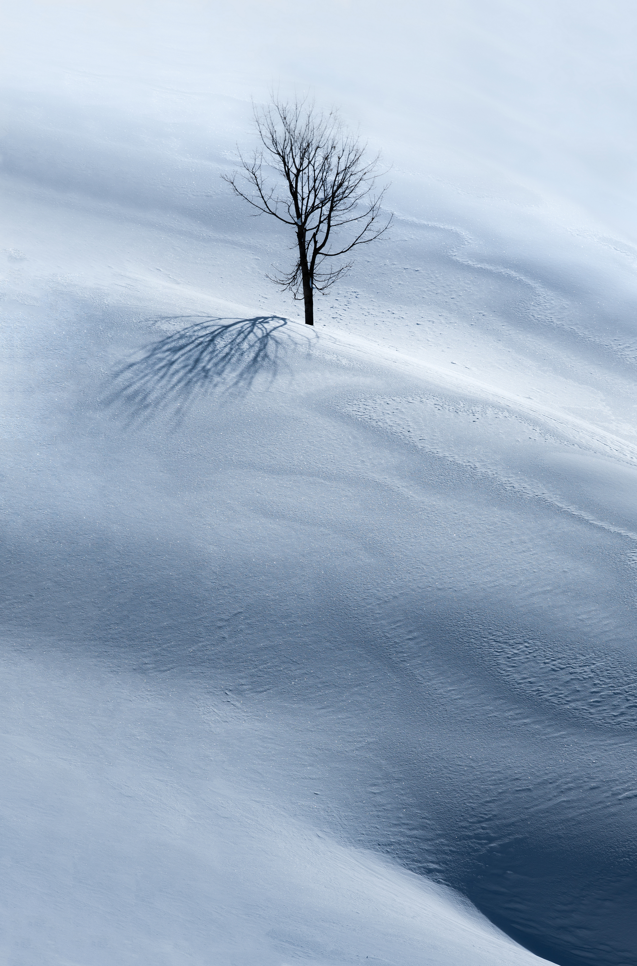, Валерий Одинцов