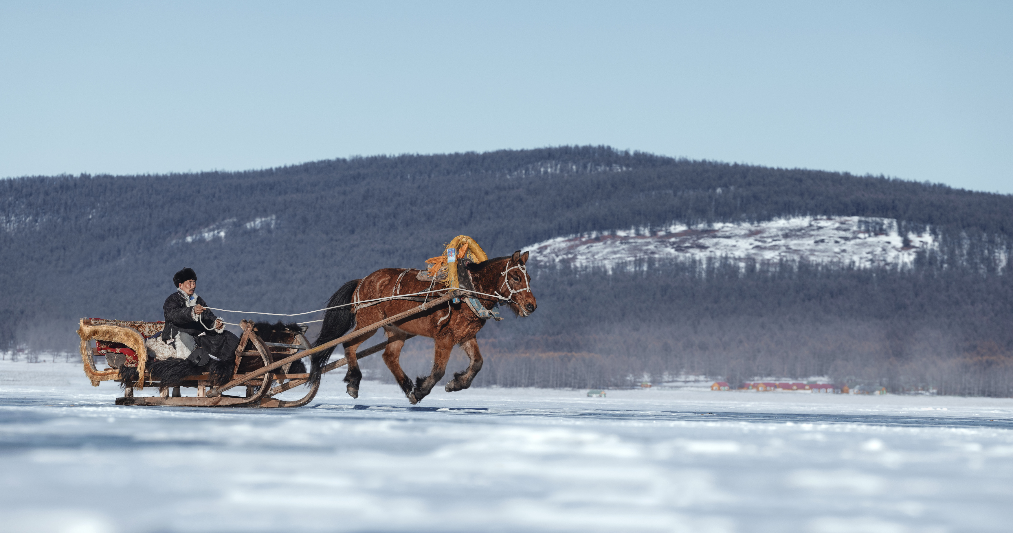 mongolian noamdic winter ice festival khuvsgul lake horse man portrait, ganzorig miimaa