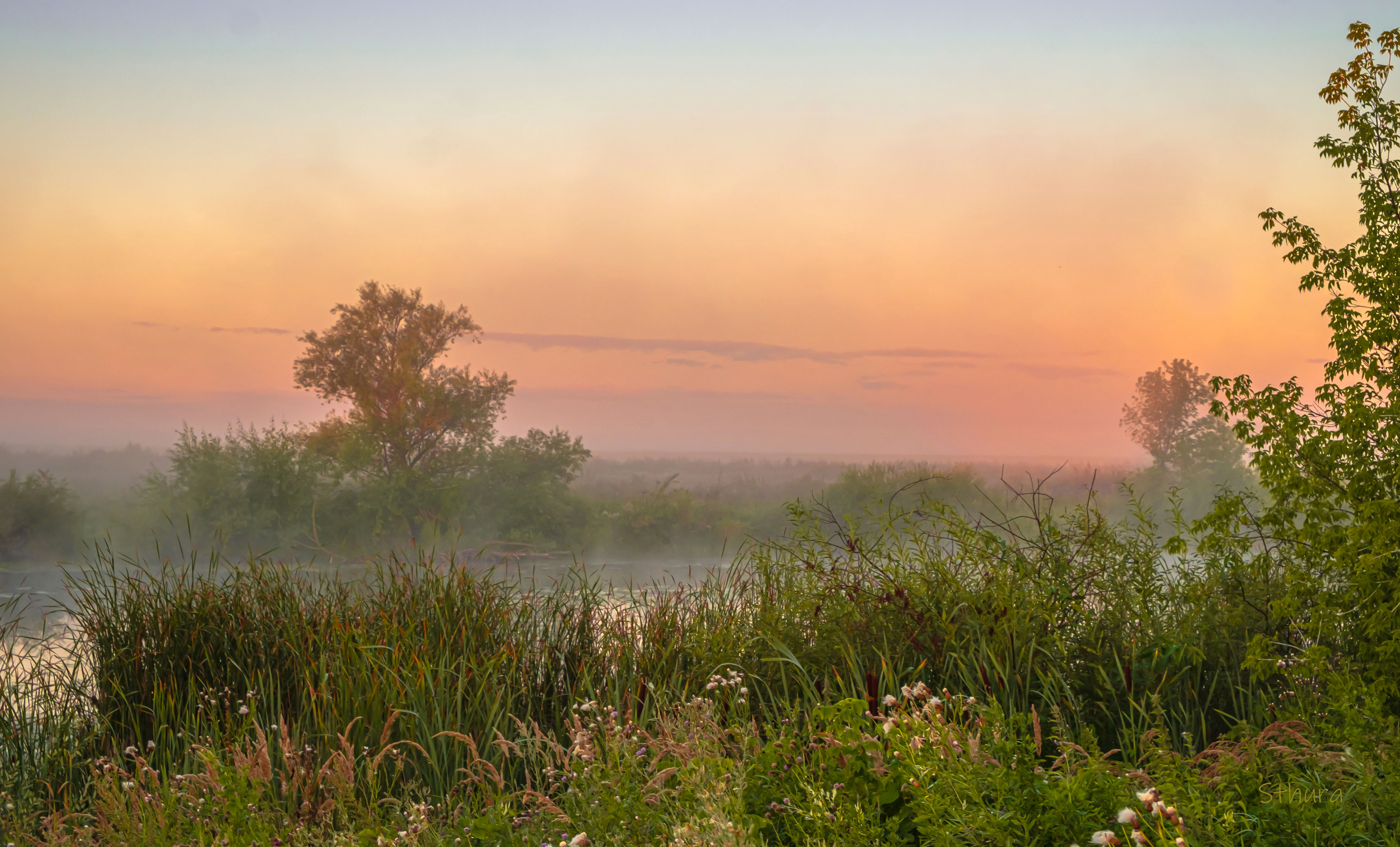 лето озеро рассвет туман природа пейзаж, Александр Строков