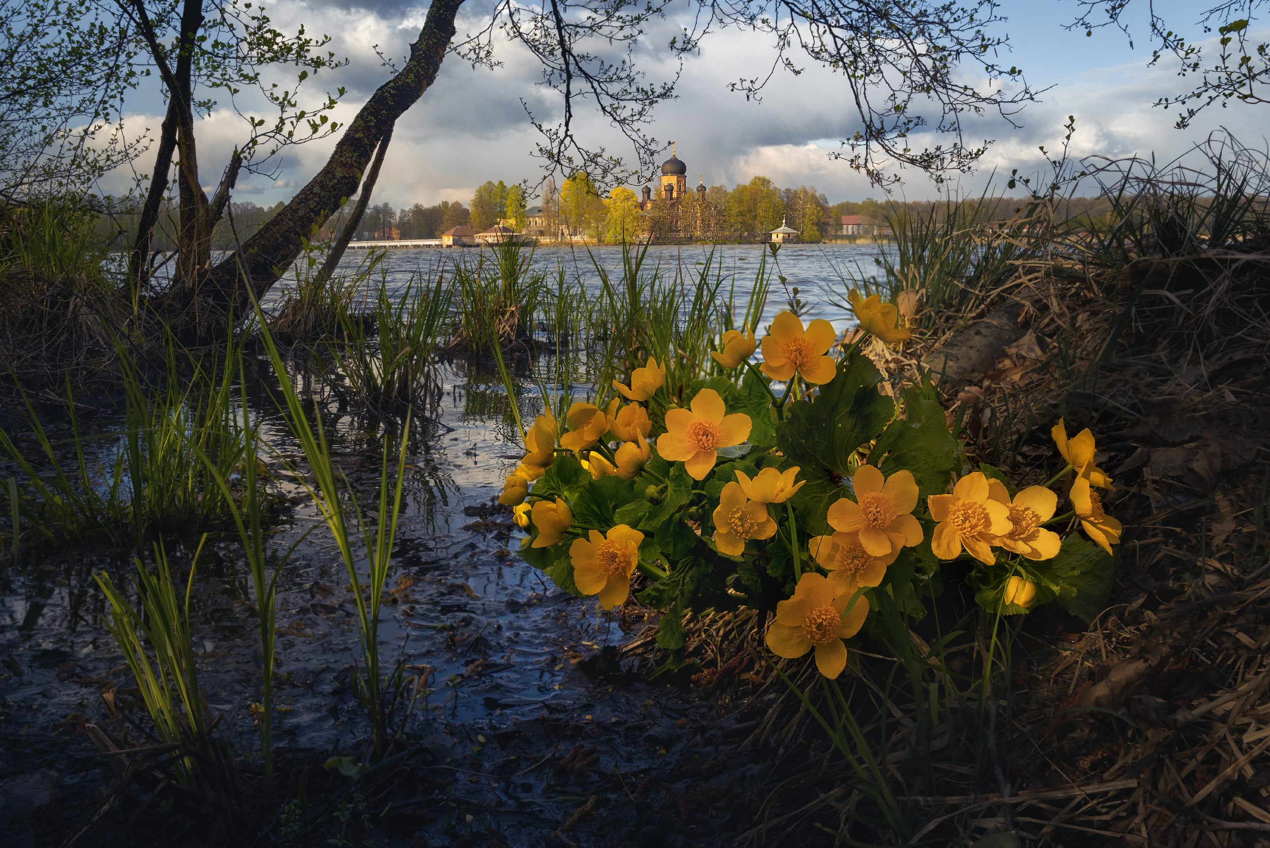 , Аброскин Игорь