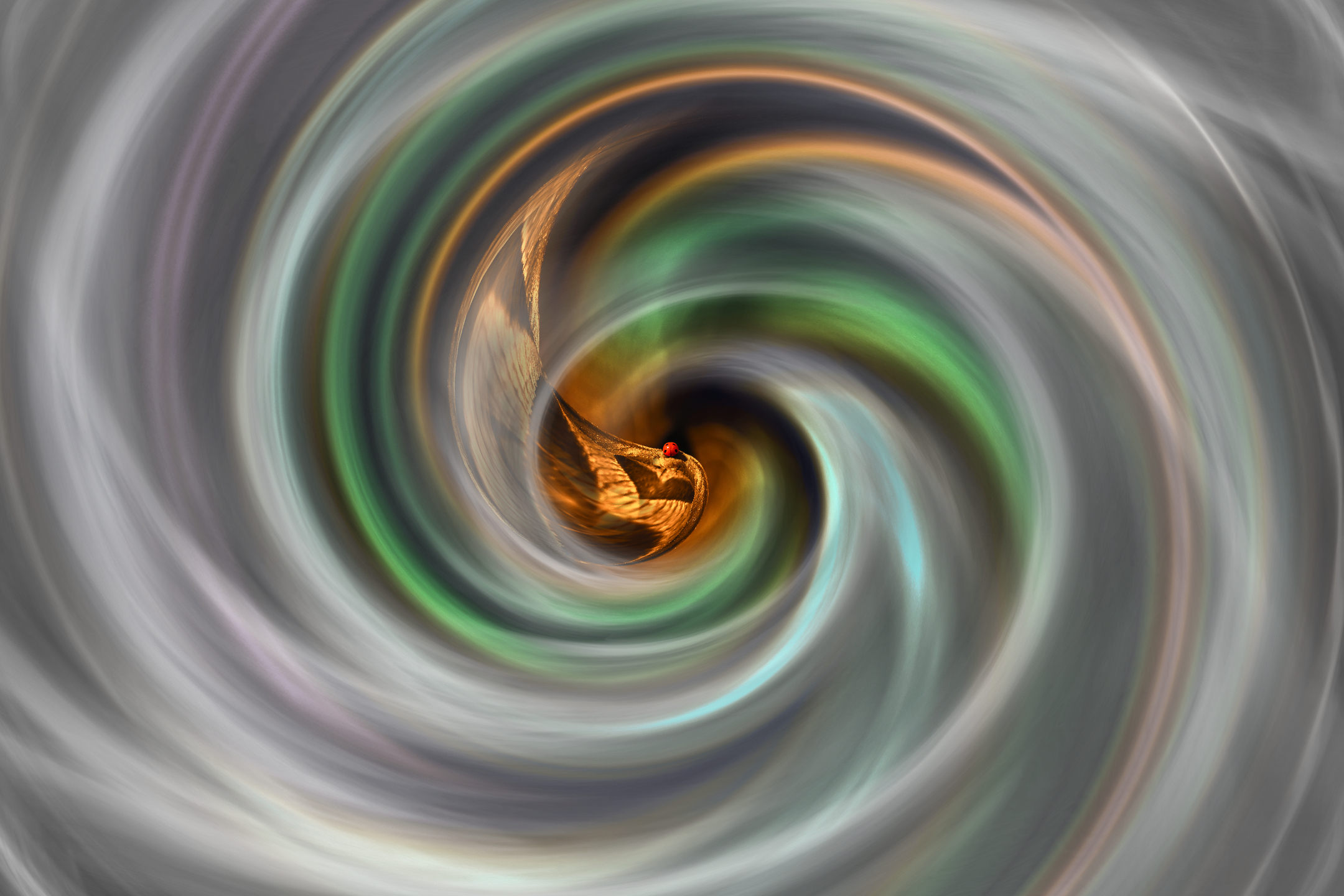 creative, поток, креатив, концепция, забвение, забывание, память, conception, streams, oblivion, forgetting, memory, memories, Дмитрий Салтыков