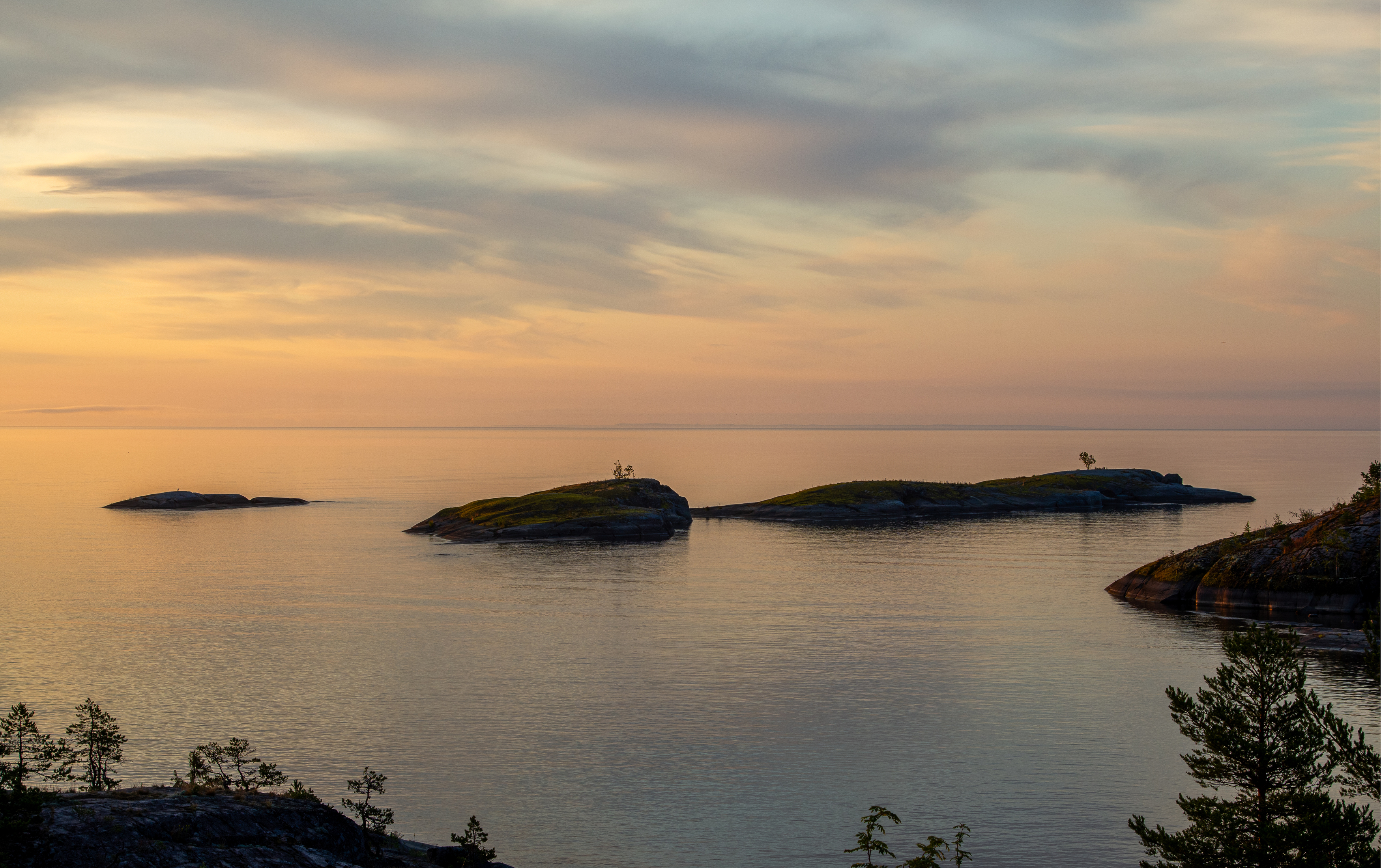 , Комарова Вера