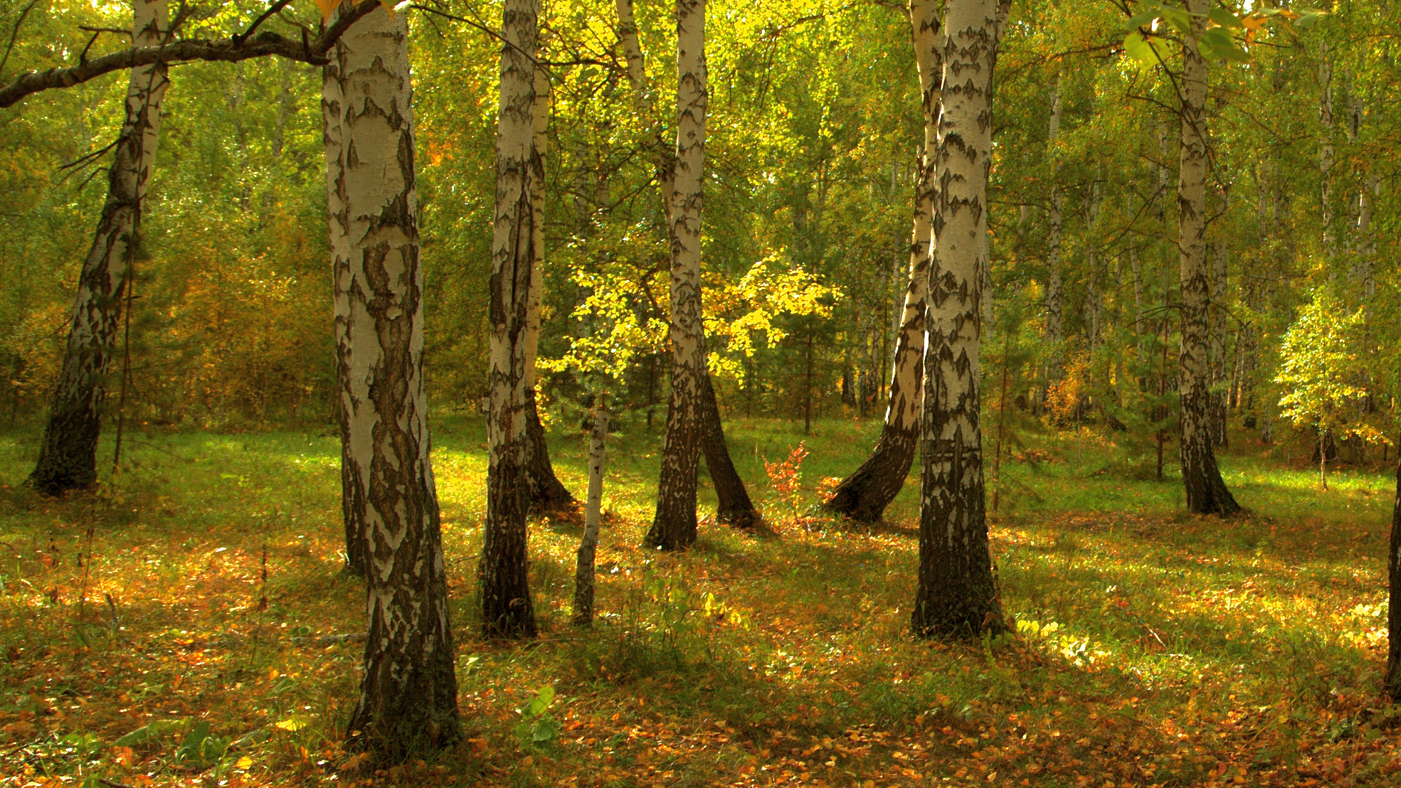 , Шустиков Дмитрий