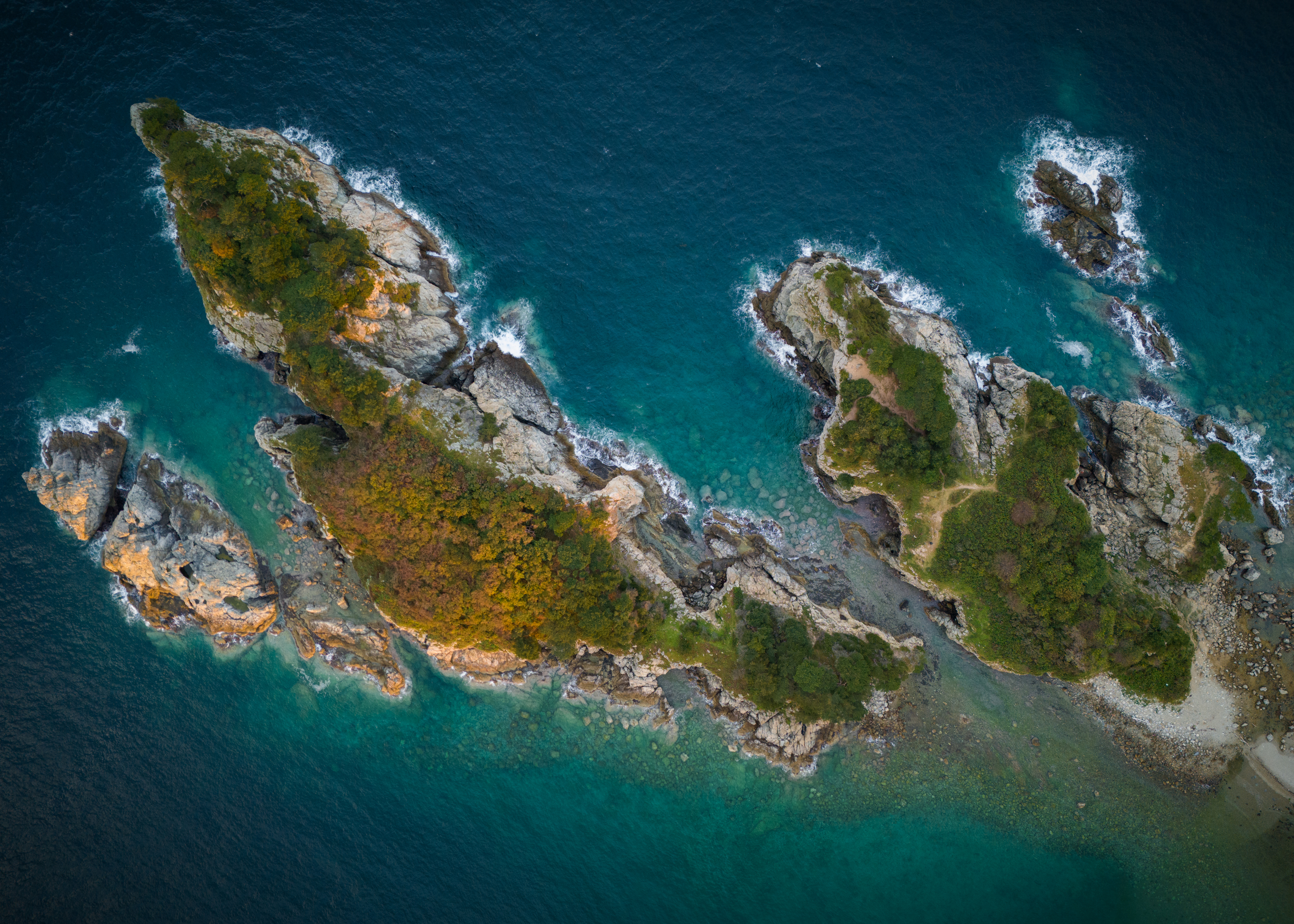 , Перевозчиков Андрей