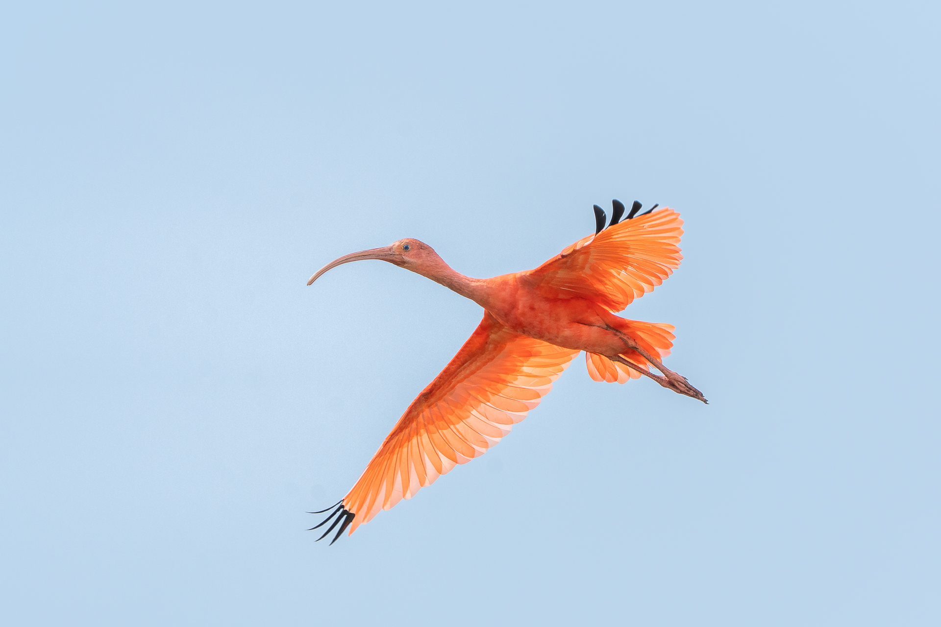 , María Paula Lozano