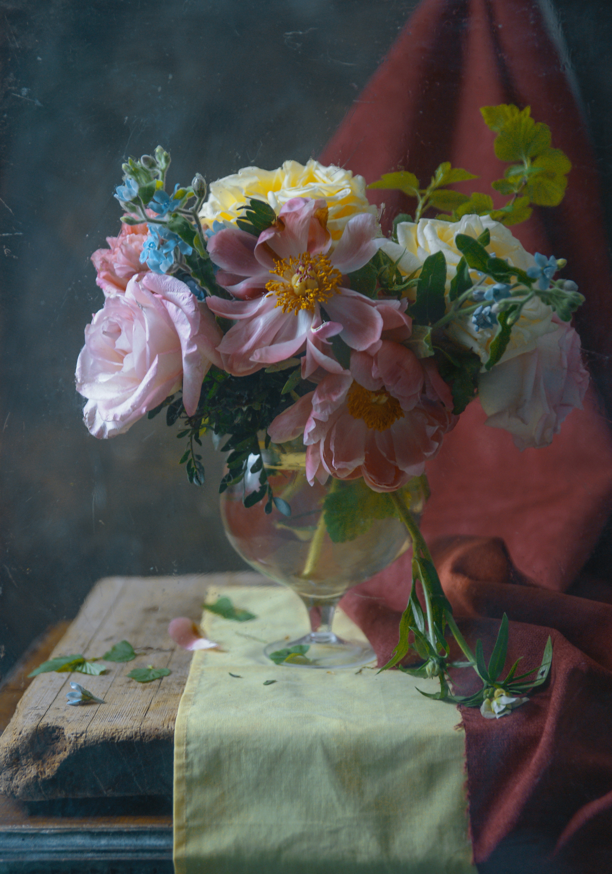 , Сушкевич Светлана