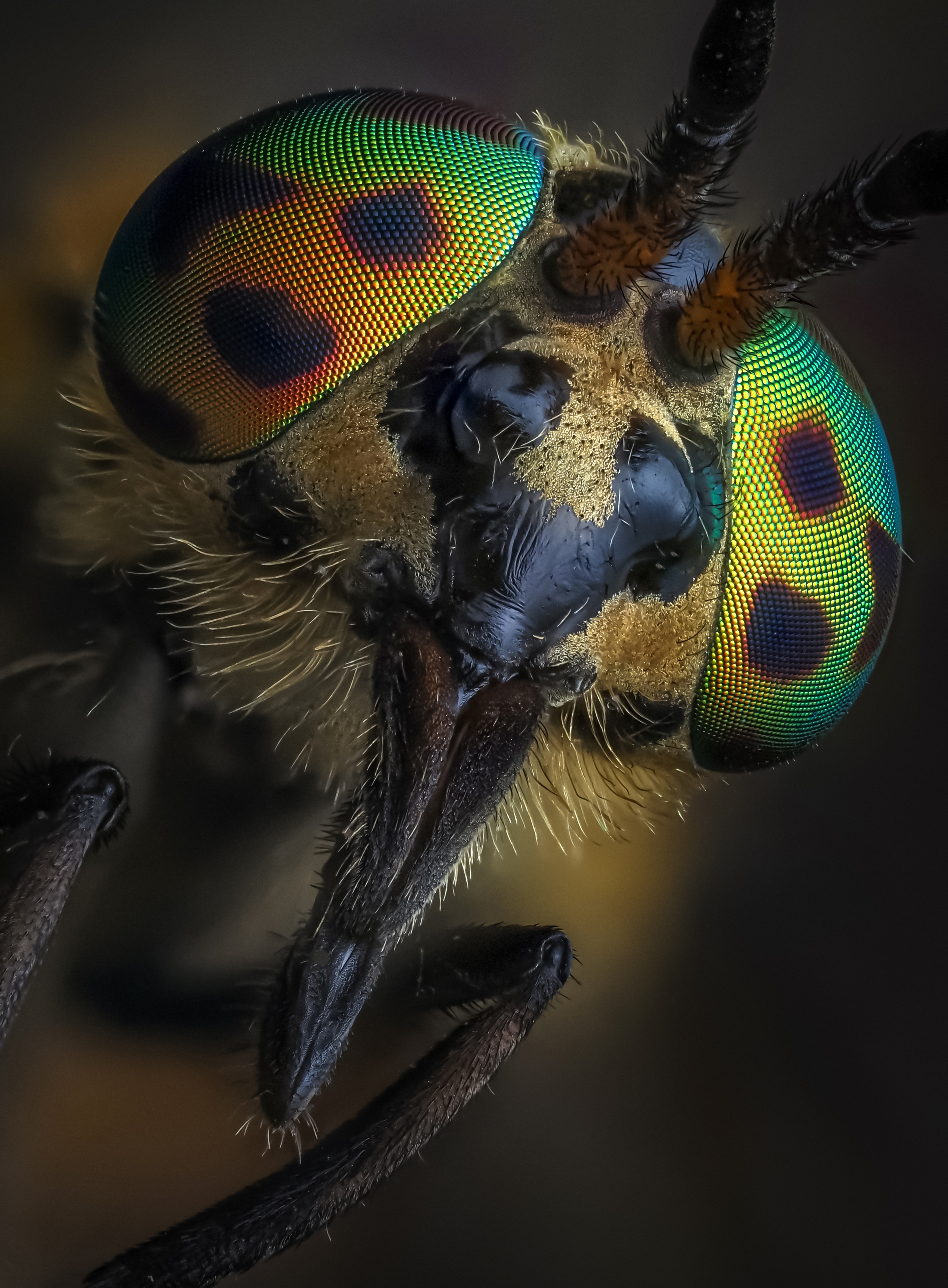 , Олег Савицкий