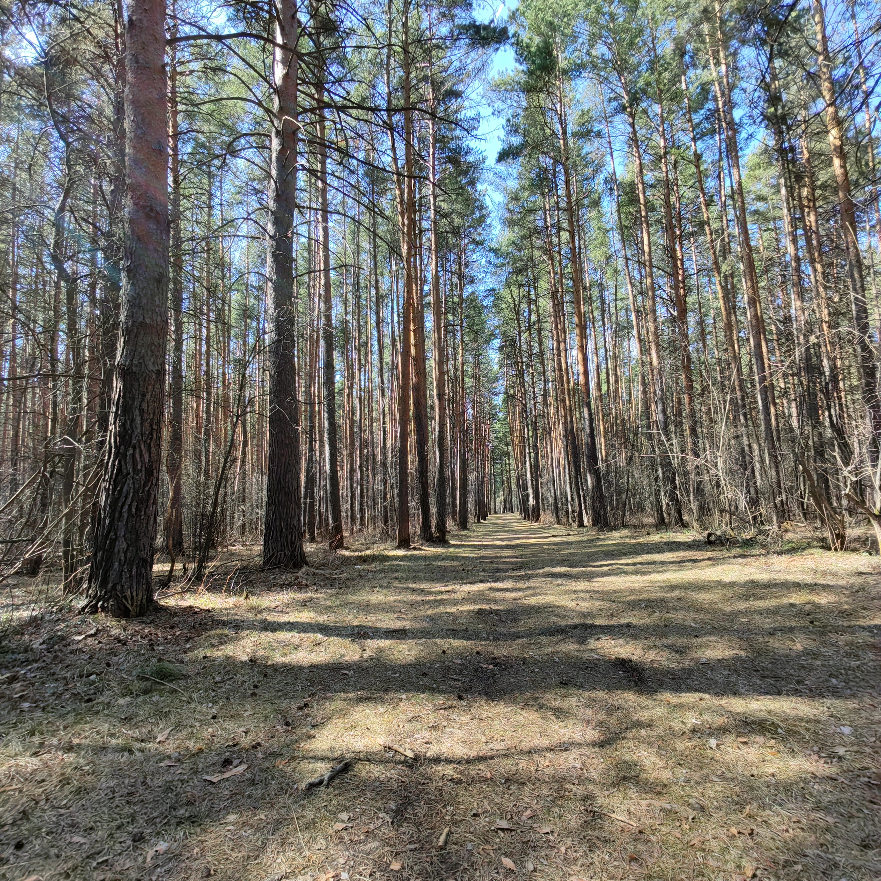 , Ольга Лукахина