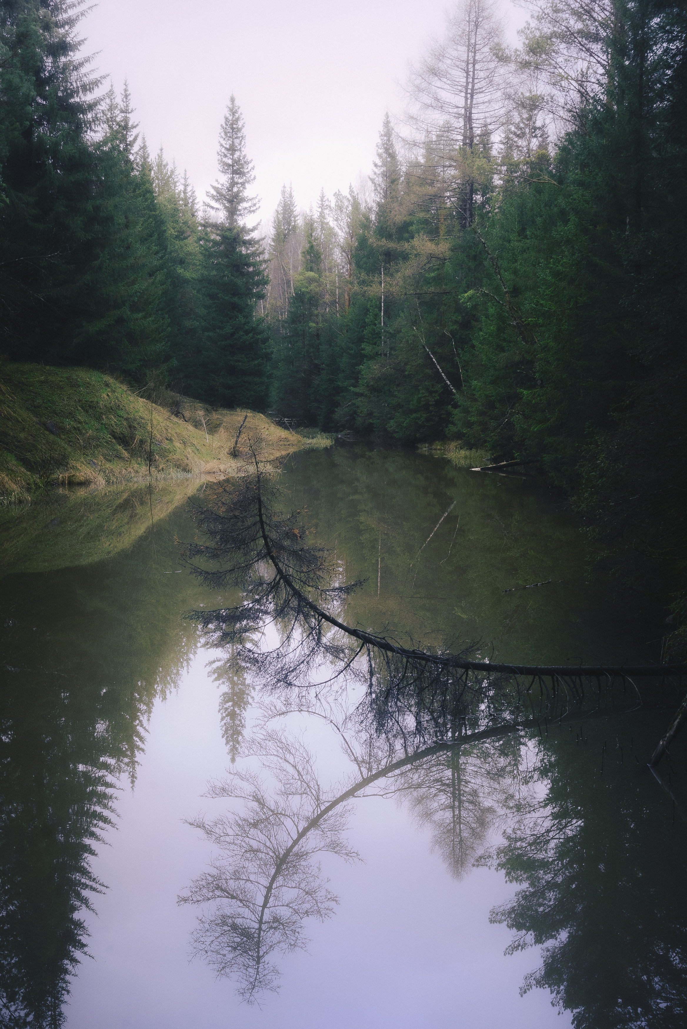 , Силантьев Даниил