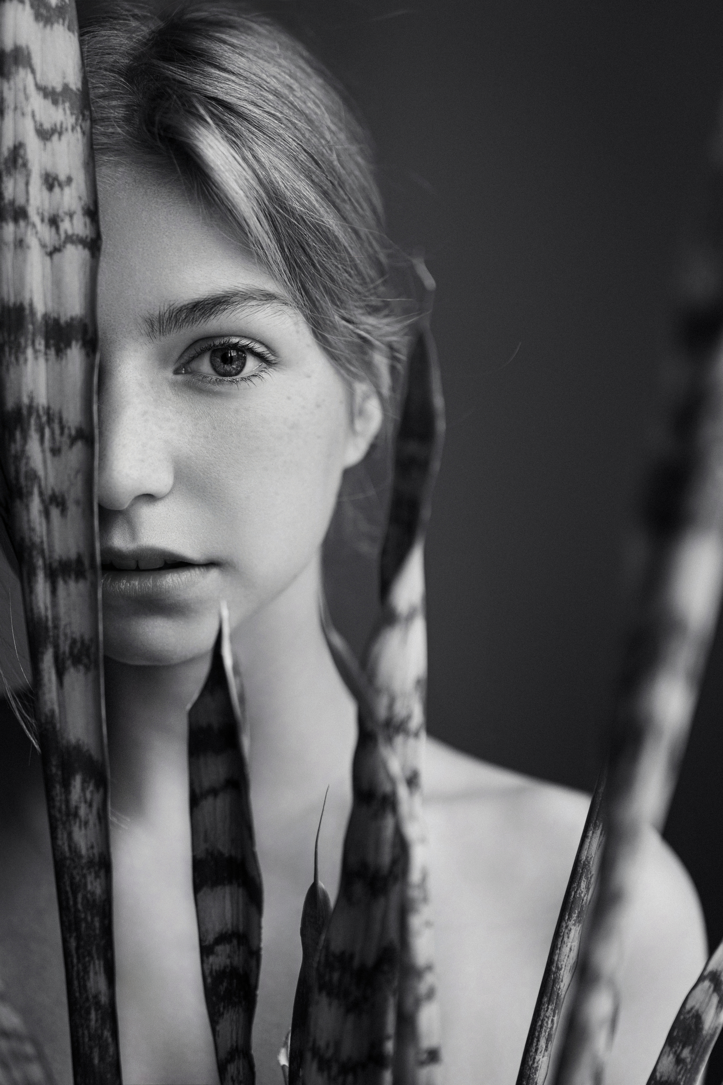 , Беседин Дмитрий