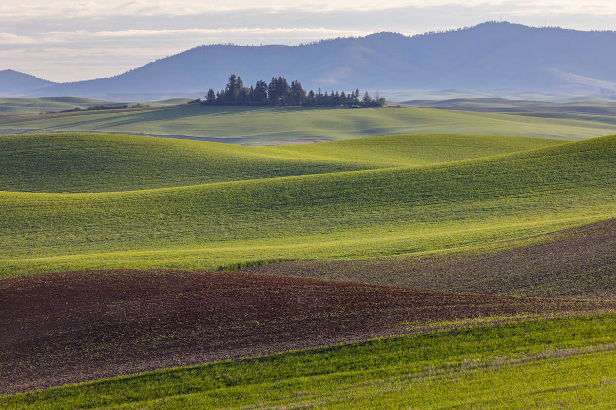 , Лозицкий Александр