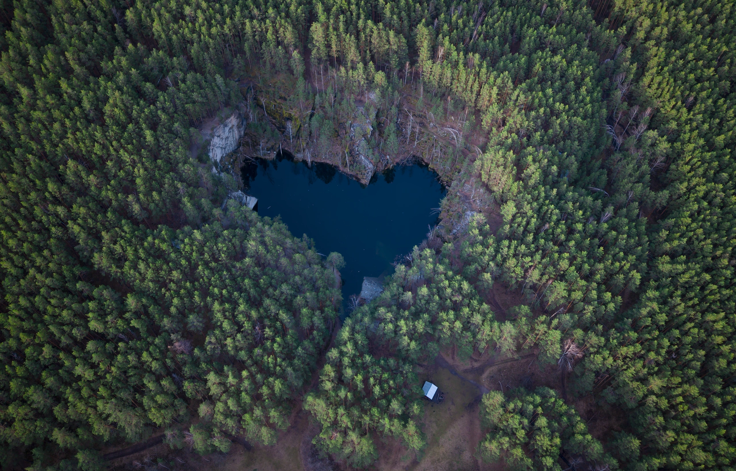 , Ватрушкин Максим