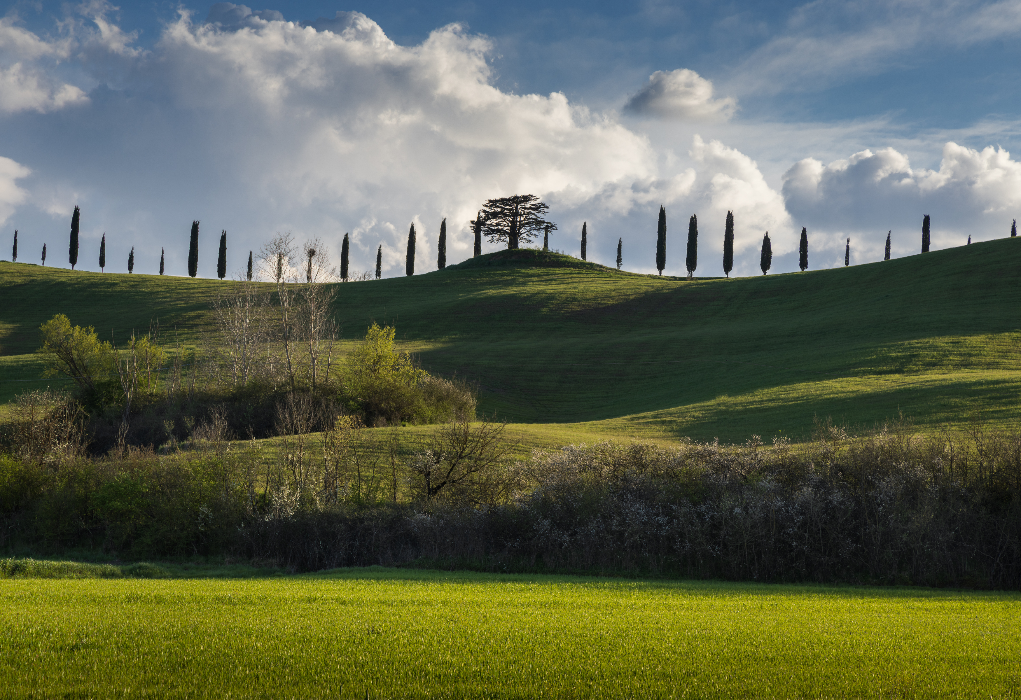 , Алекс Римский