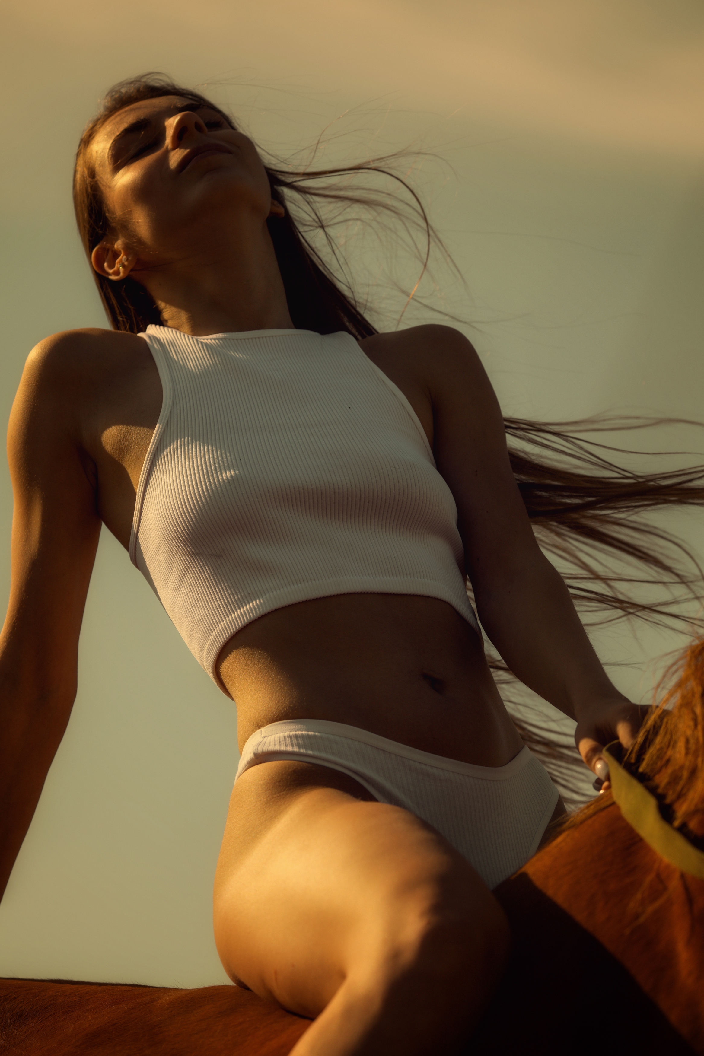 , Дмитрий Арабаджи